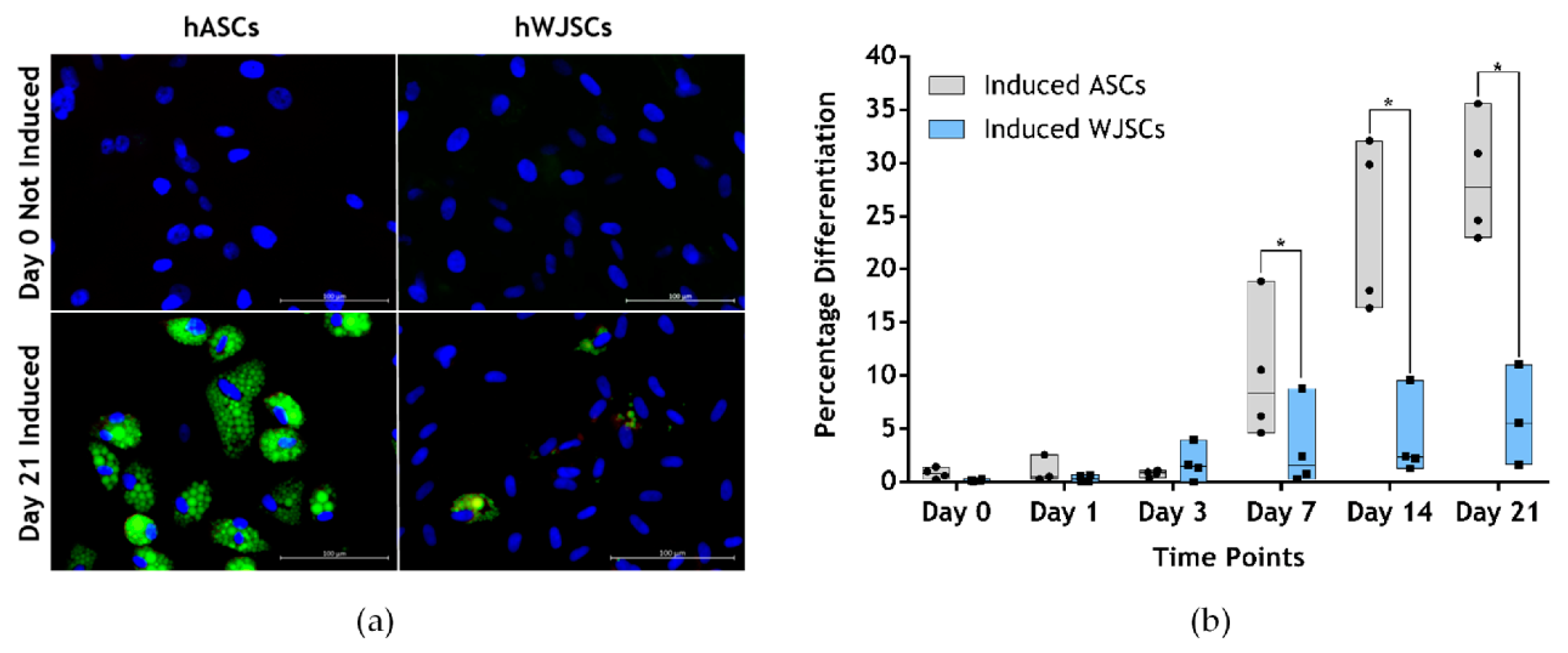 Ijms 21 04104 g003 Ijms 21 04104 g003