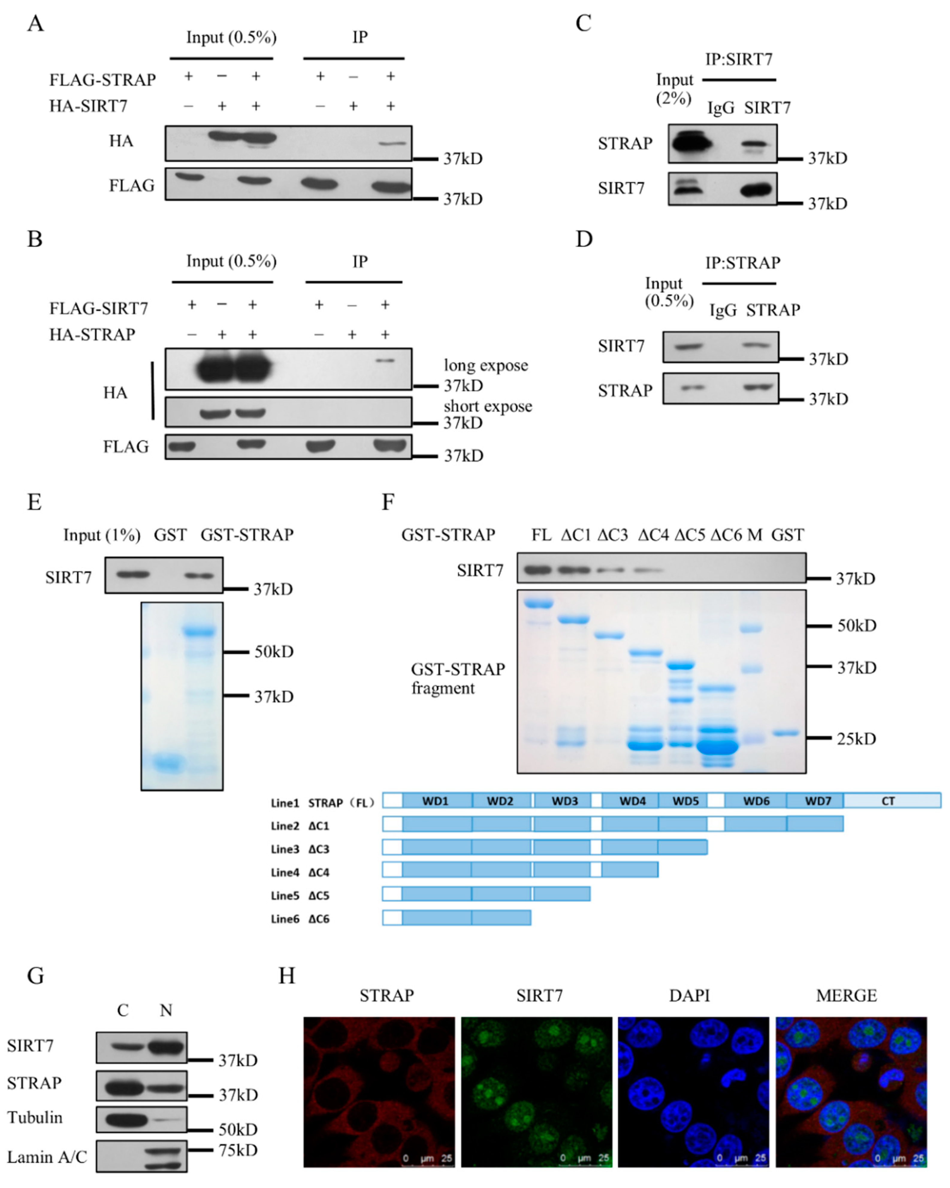 Ijms 21 04122 g001 Ijms 21 04122 g001