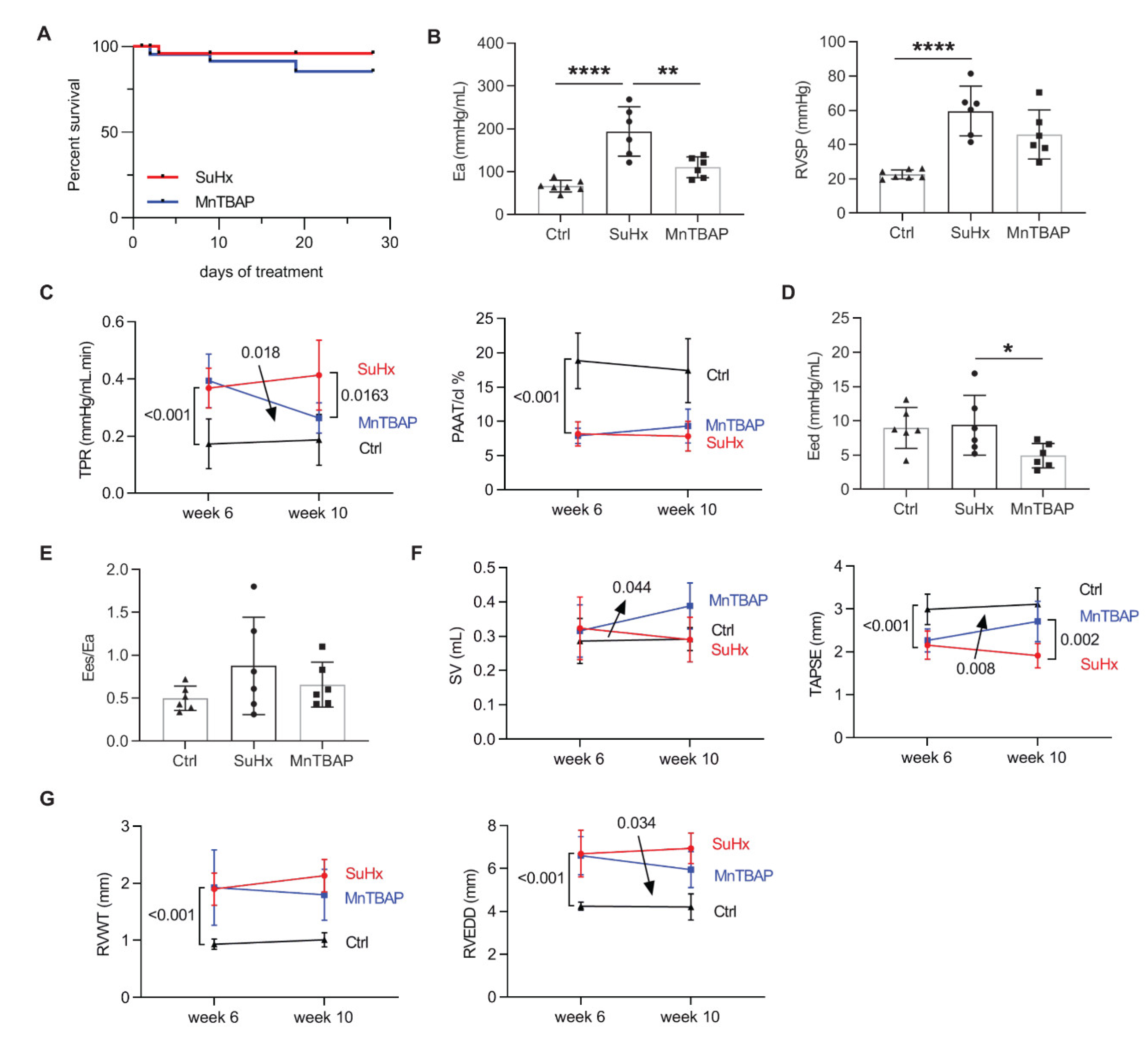 Ijms 21 04130 g004 Ijms 21 04130 g004