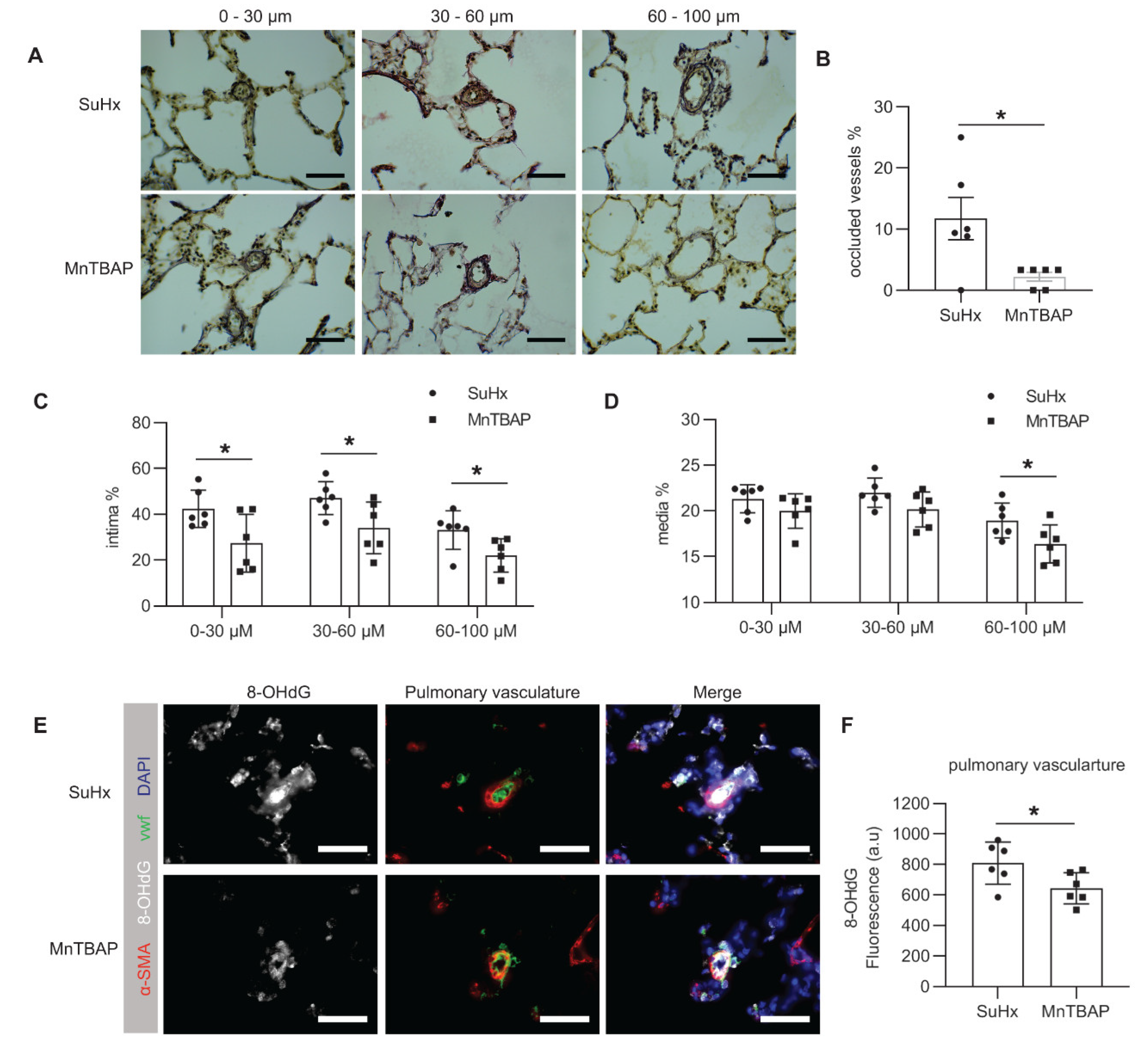 Ijms 21 04130 g005 Ijms 21 04130 g005