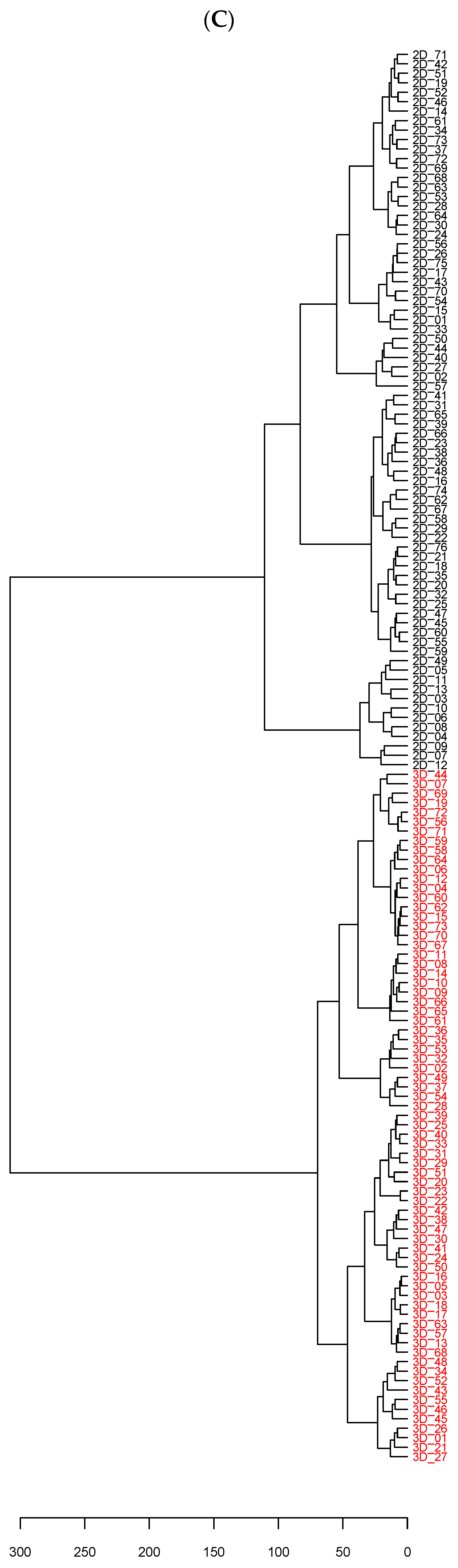 Ijms 21 04141 g002b Ijms 21 04141 g002b