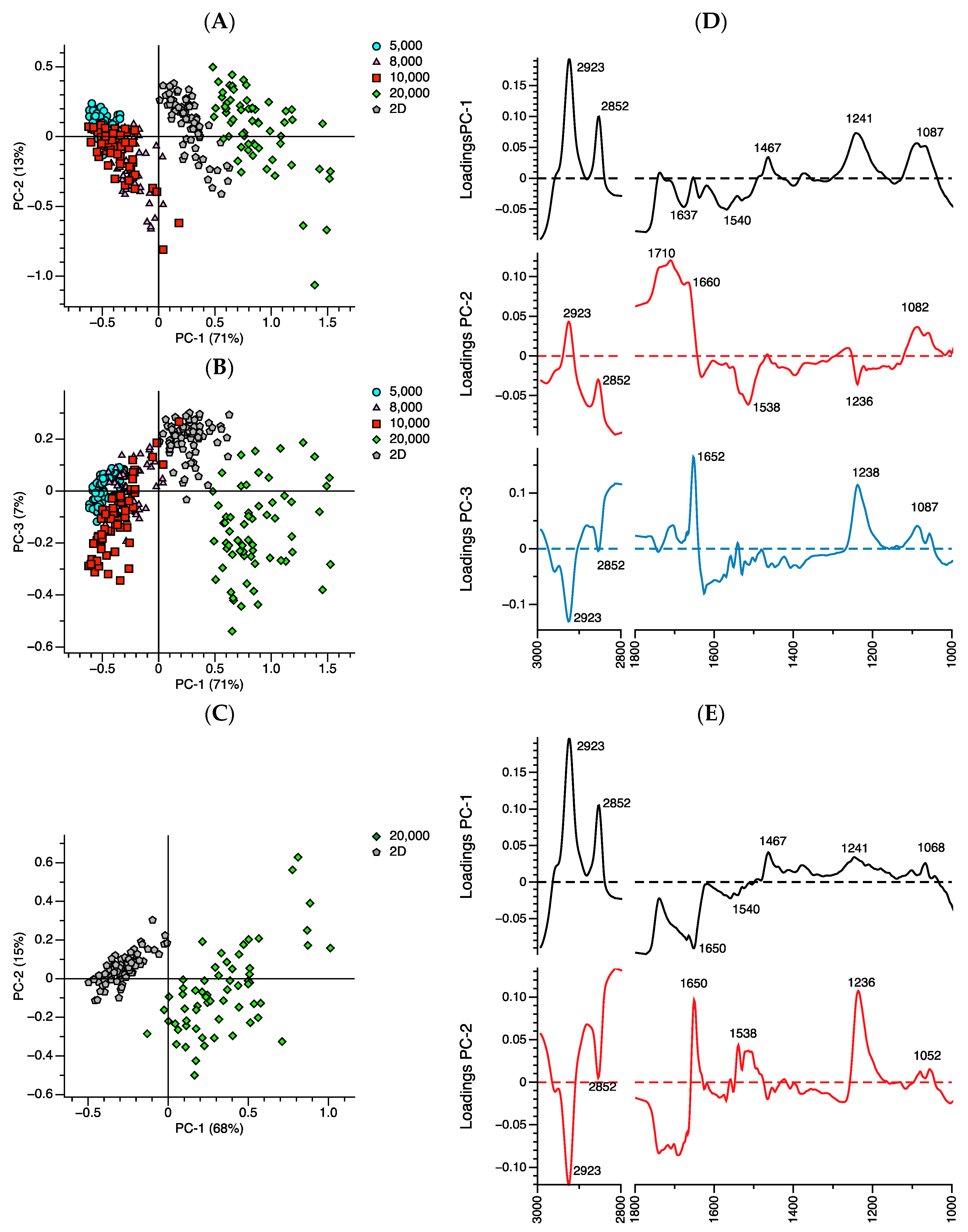 Ijms 21 04141 g006 Ijms 21 04141 g006