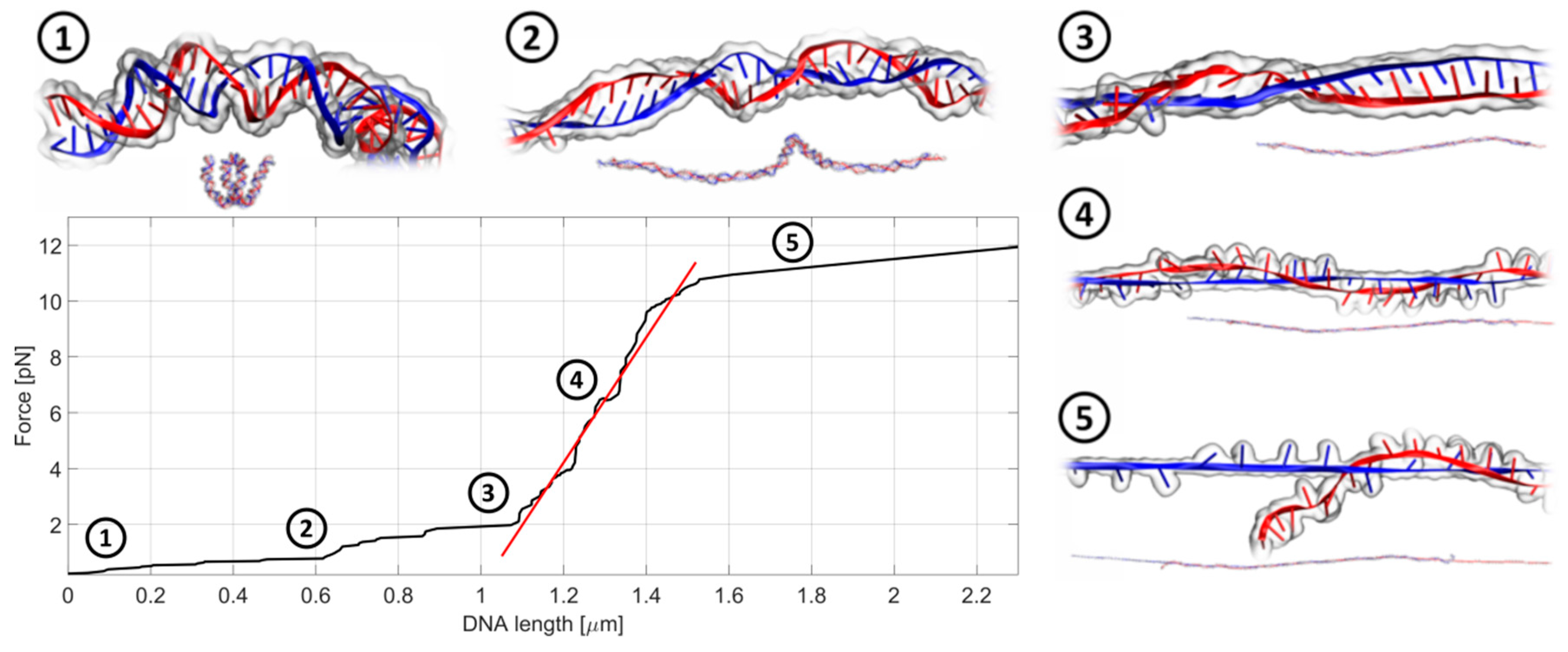 Ijms 21 04142 g004 Ijms 21 04142 g004