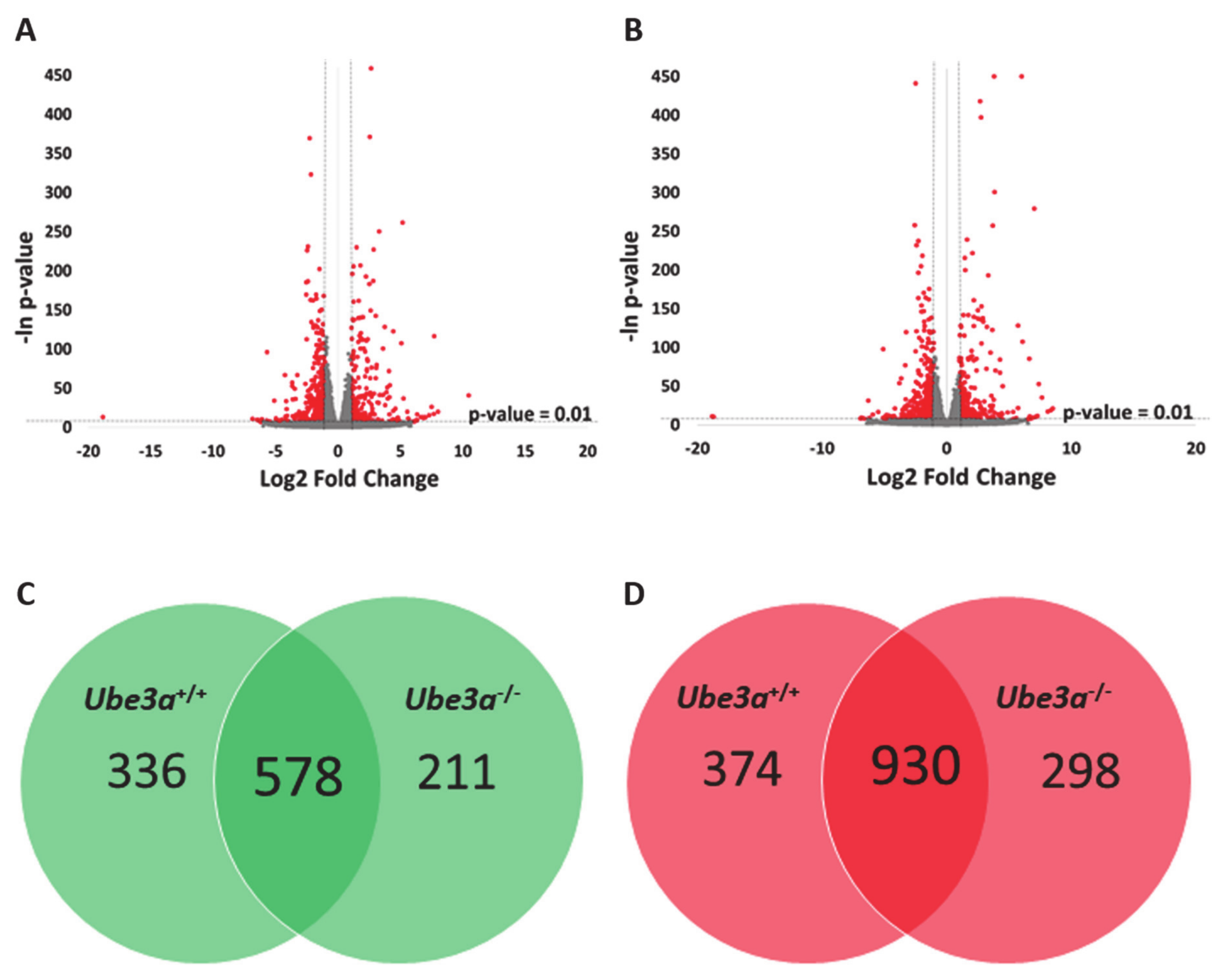 Ijms 21 04156 g002 Ijms 21 04156 g002