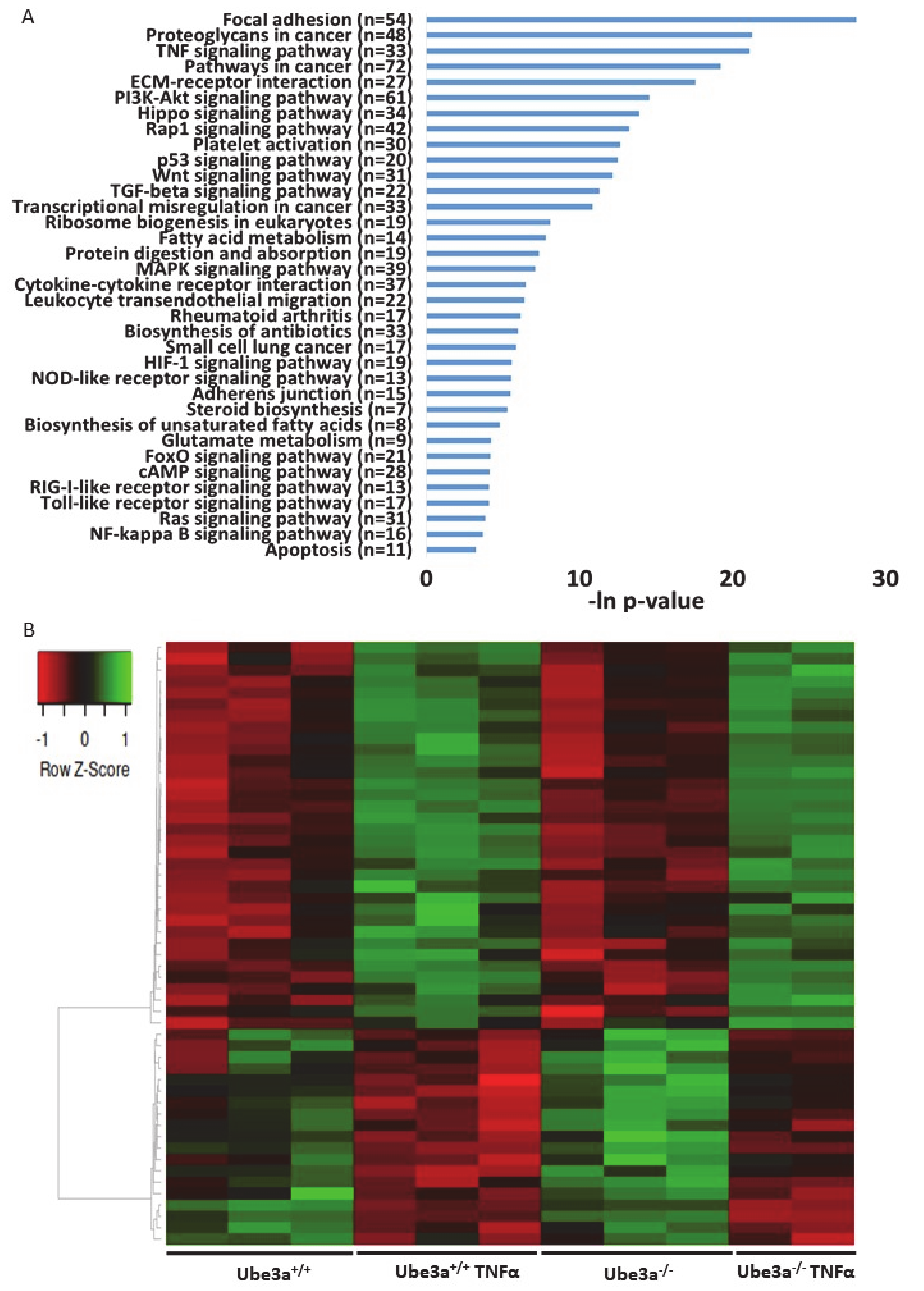 Ijms 21 04156 g003 Ijms 21 04156 g003