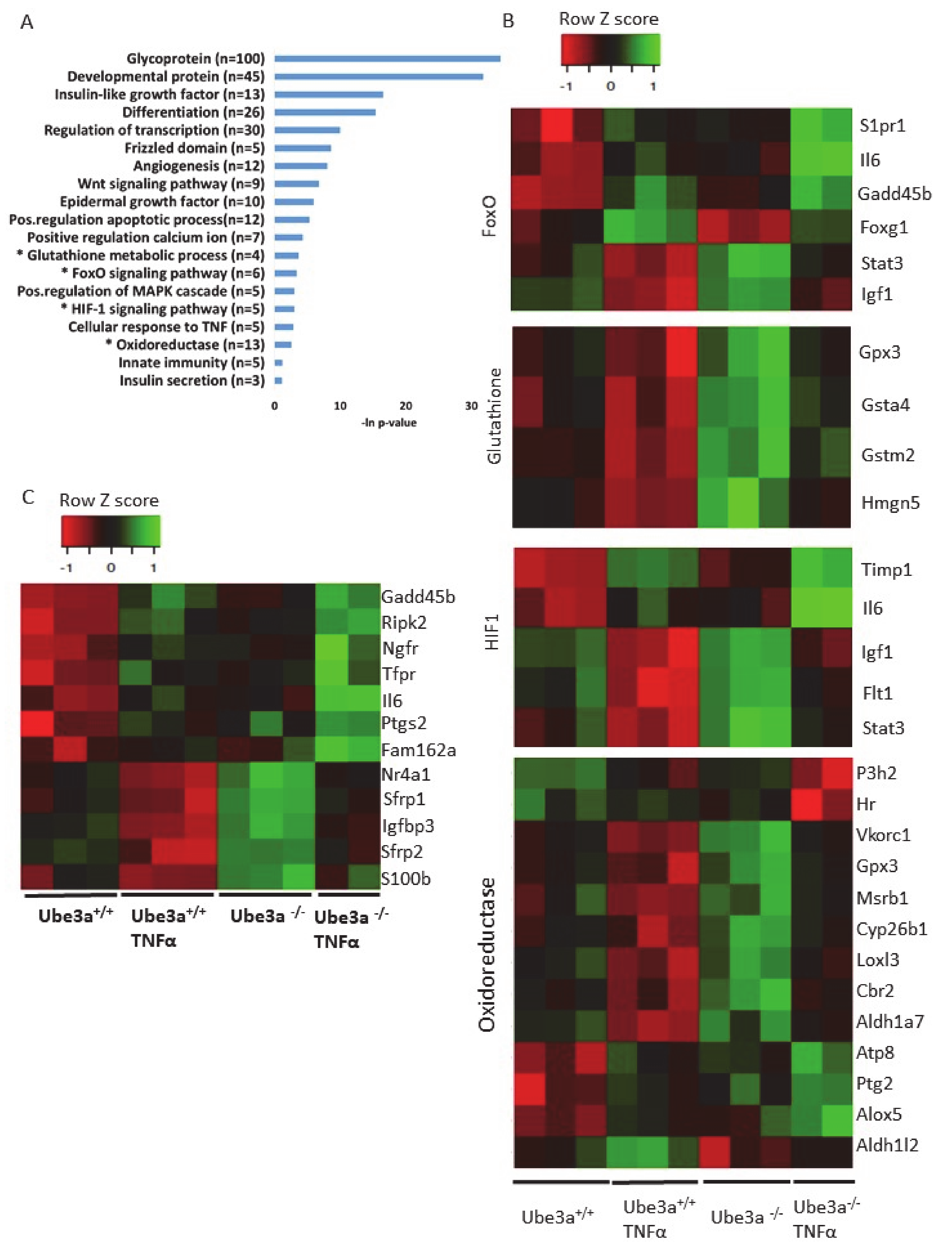 Ijms 21 04156 g004 Ijms 21 04156 g004