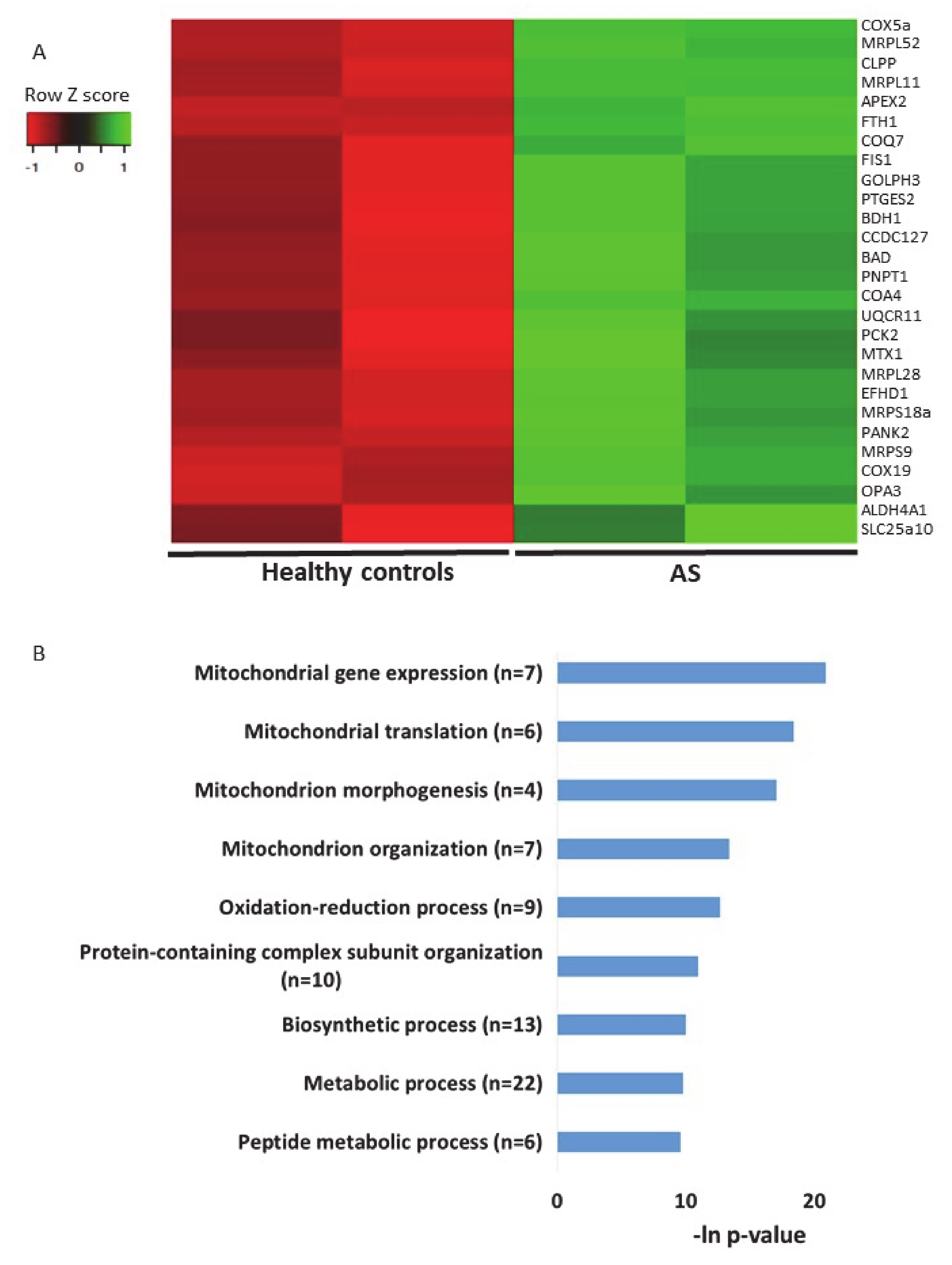 Ijms 21 04156 g007 Ijms 21 04156 g007