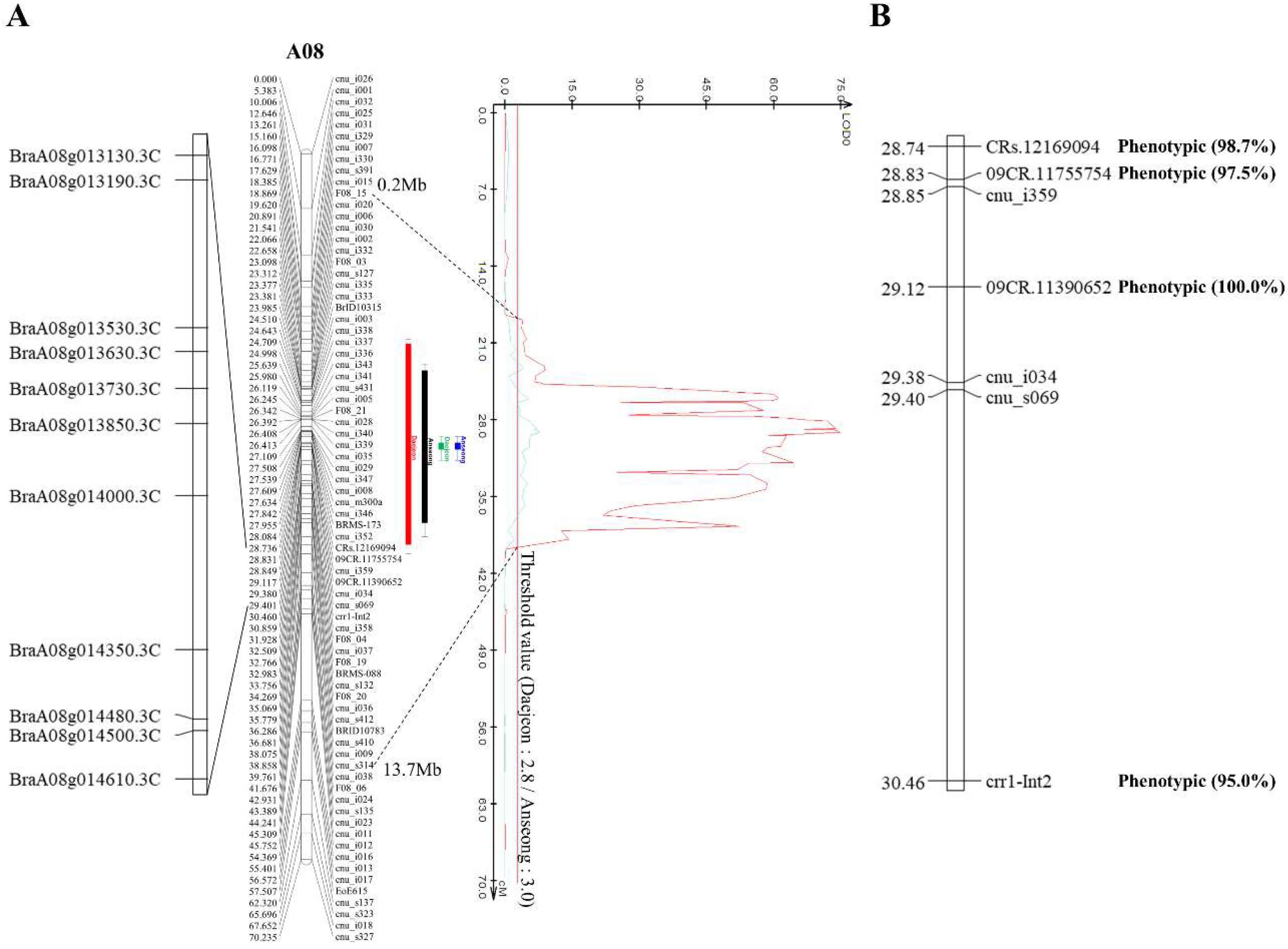 Ijms 21 04157 g003 Ijms 21 04157 g003