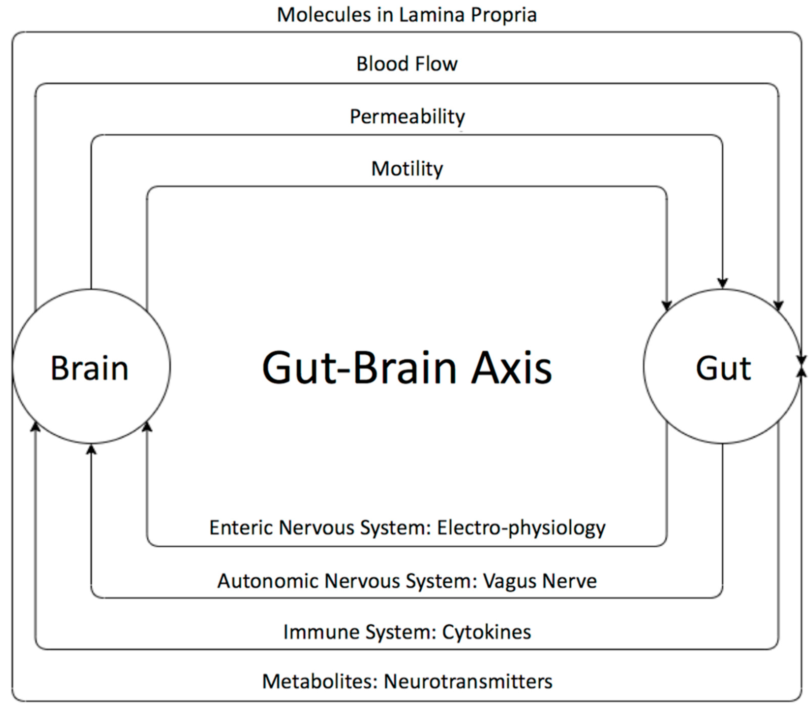 Ijms 21 04159 g001 Ijms 21 04159 g001