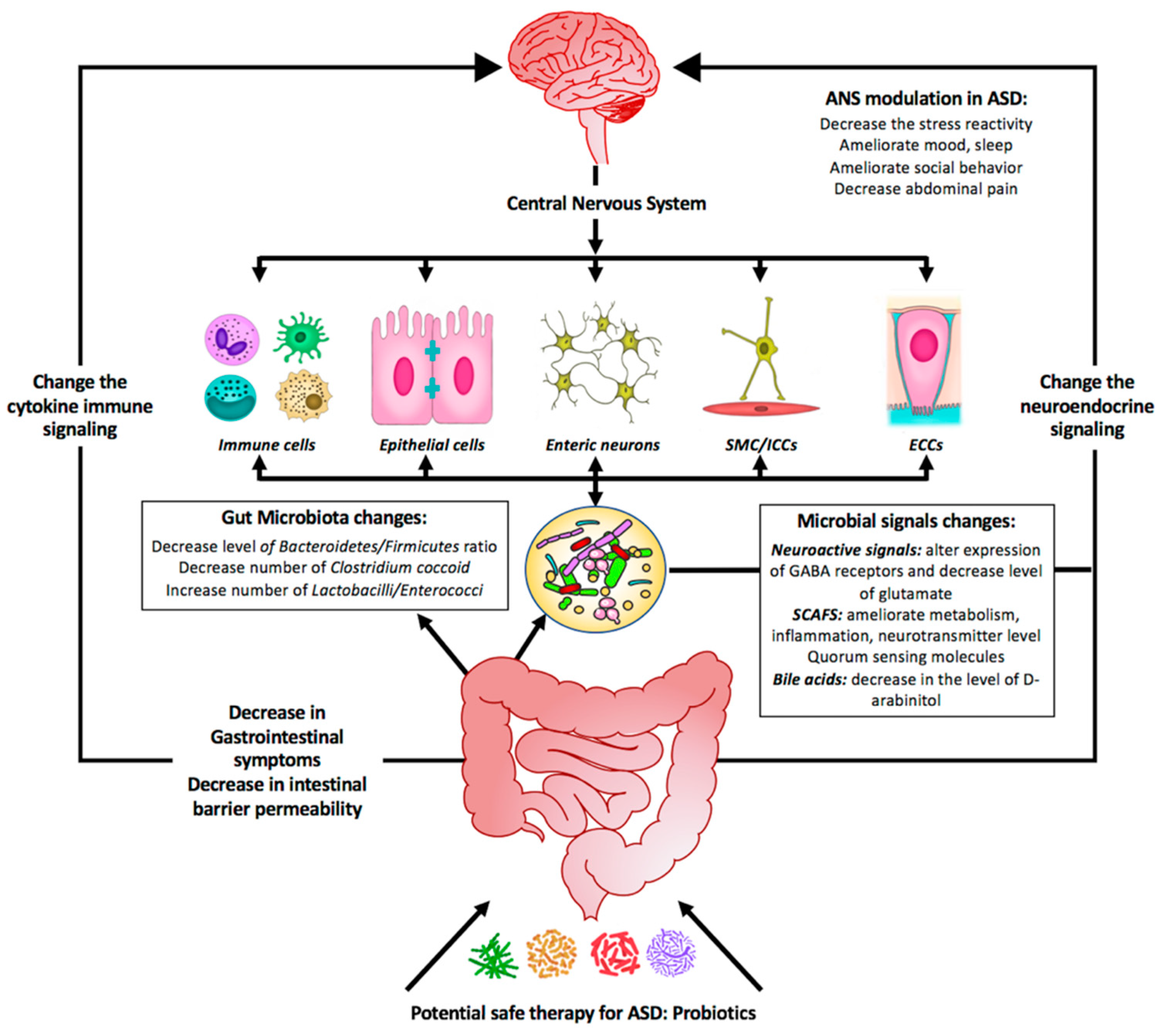 Ijms 21 04159 g002 Ijms 21 04159 g002