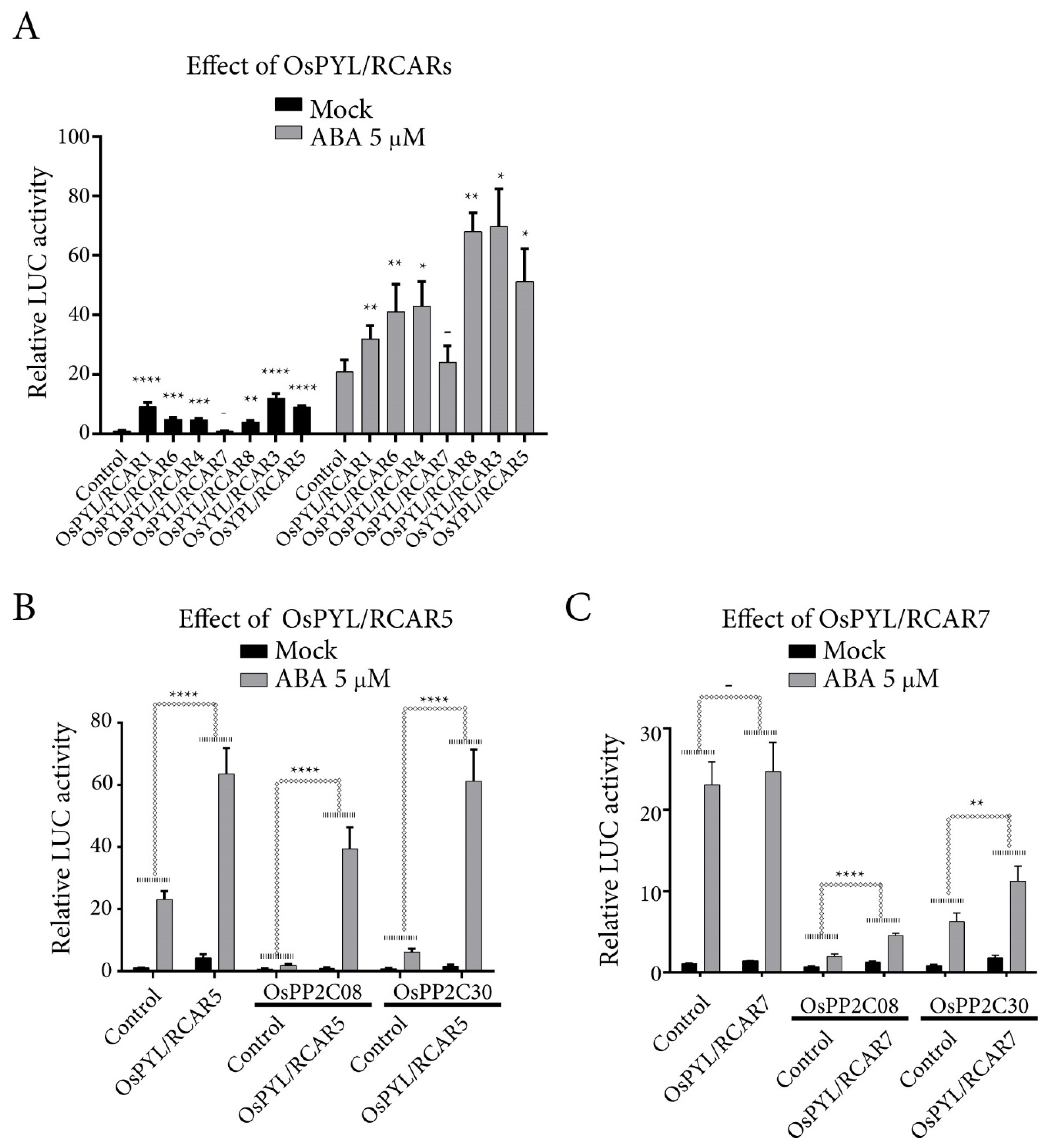Ijms 21 04163 g006 Ijms 21 04163 g006