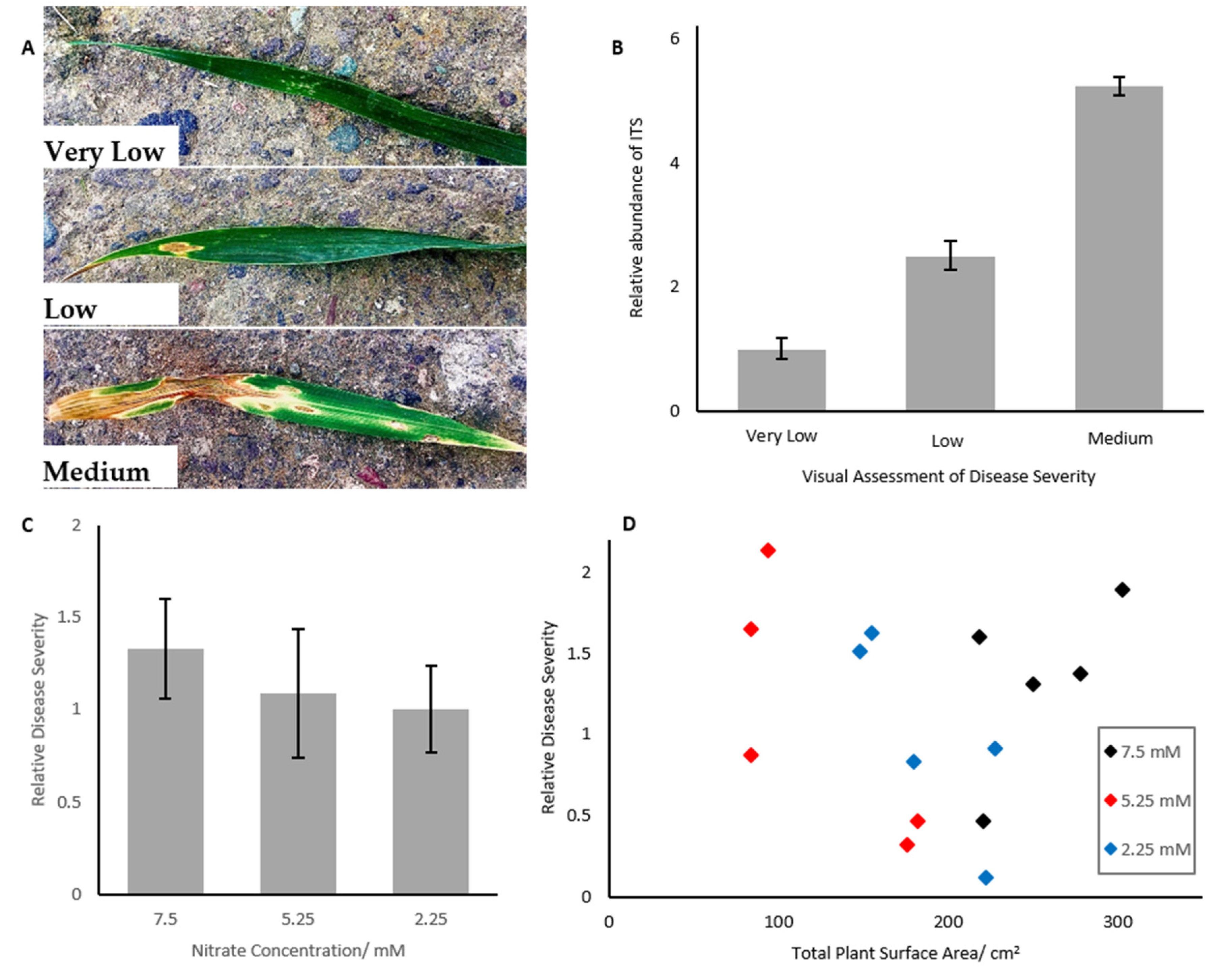 Ijms 21 04165 g001 Ijms 21 04165 g001