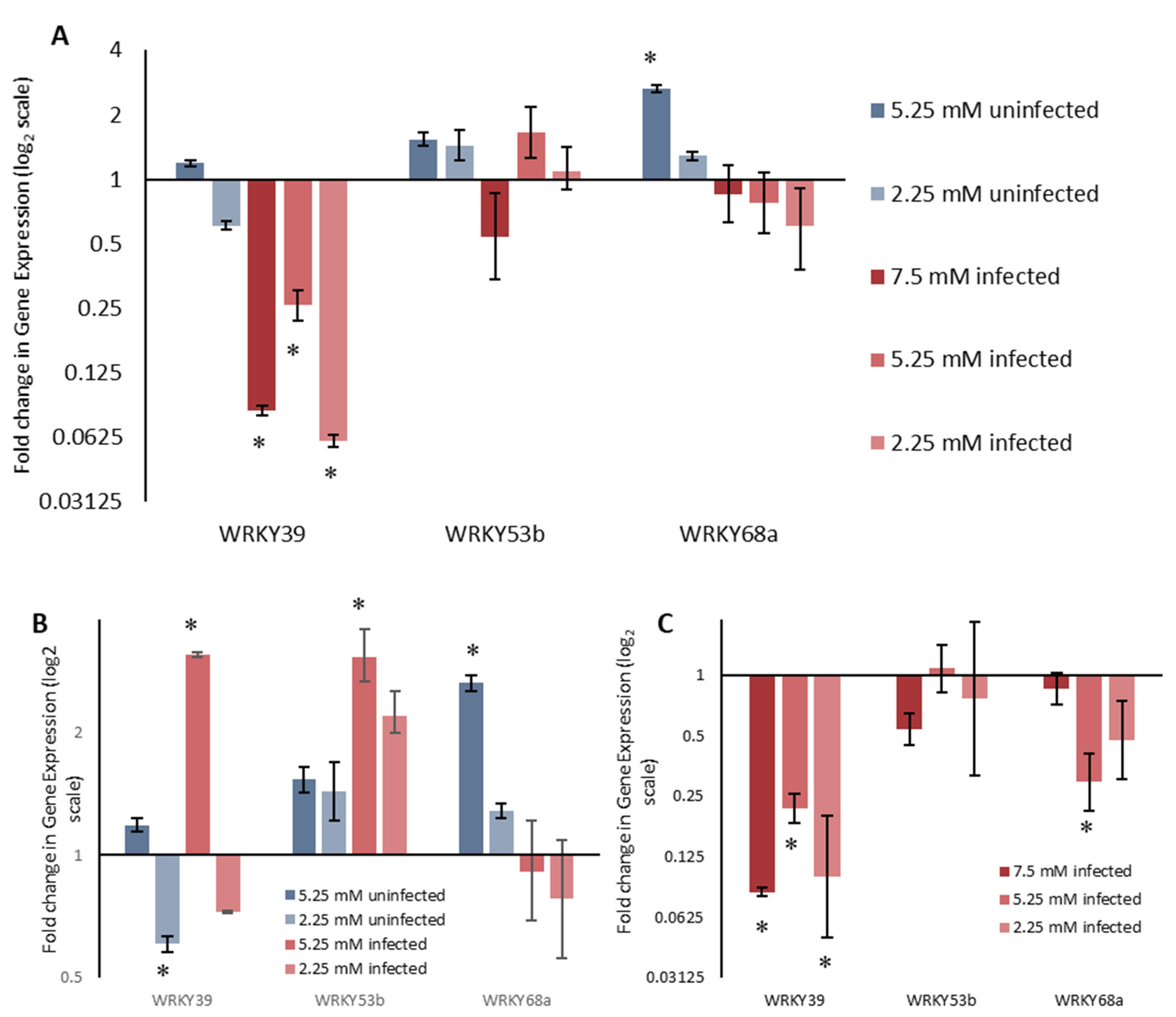 Ijms 21 04165 g004 Ijms 21 04165 g004