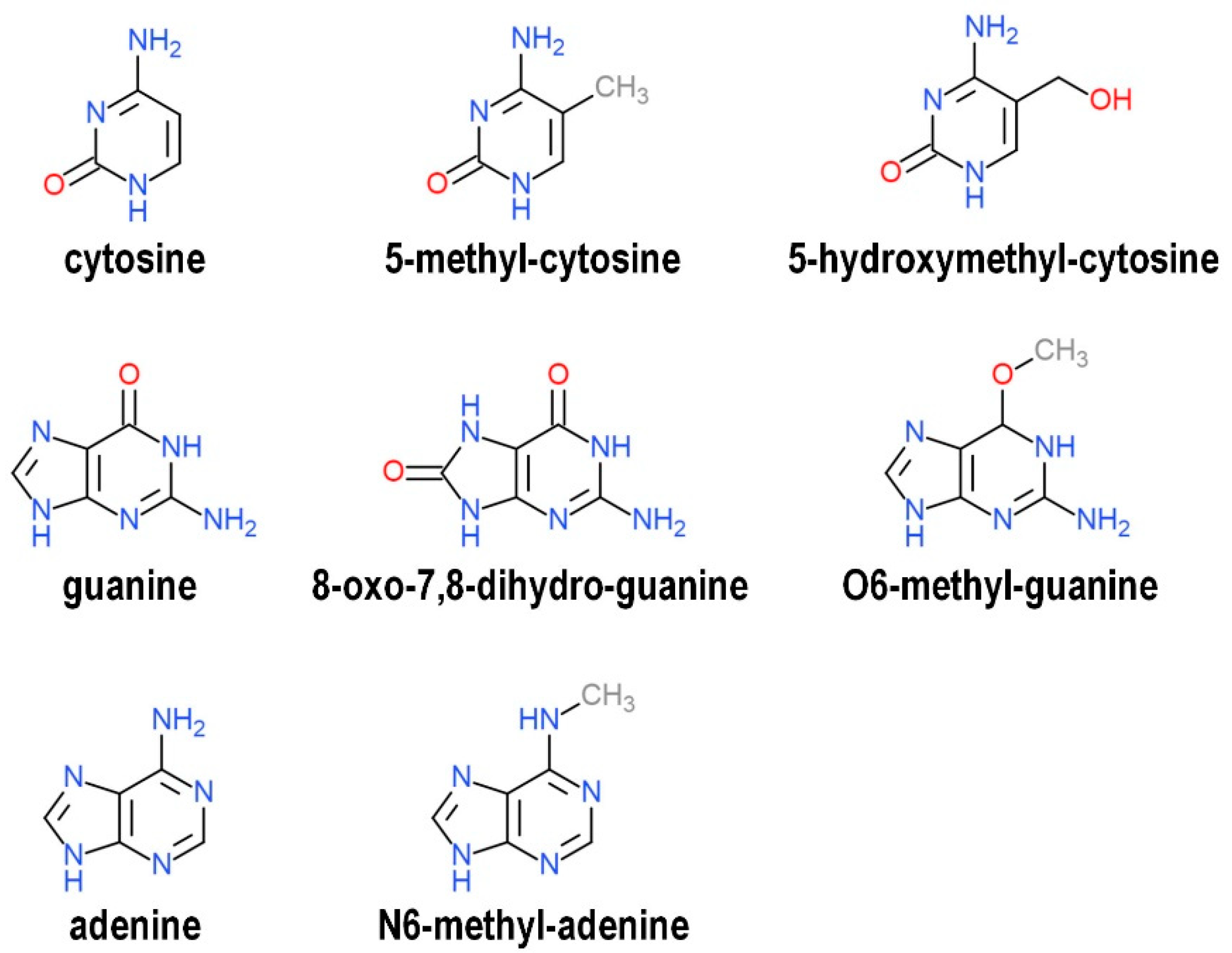 Ijms 21 04172 g002 Ijms 21 04172 g002