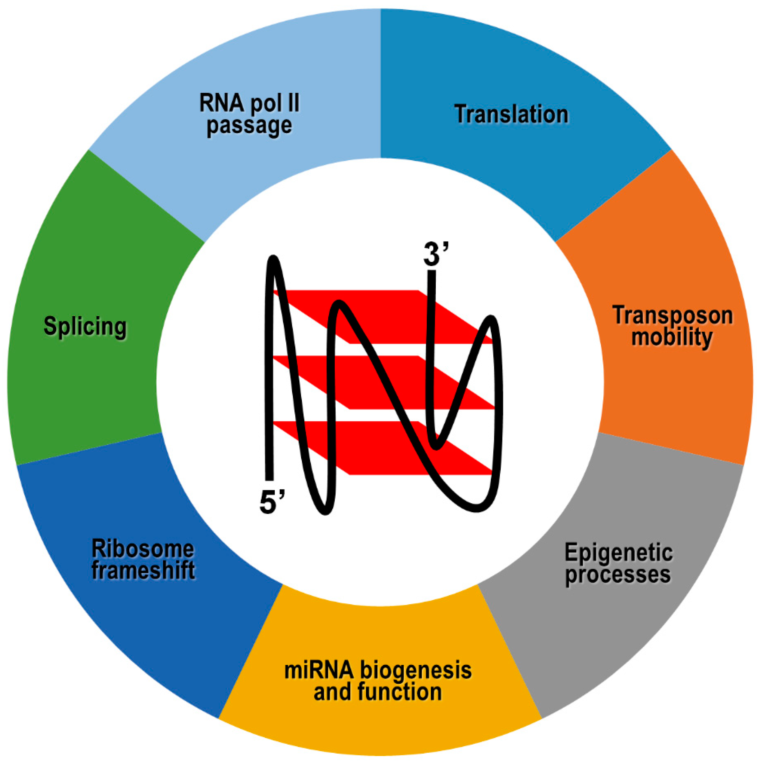 Ijms 21 04172 g004 Ijms 21 04172 g004