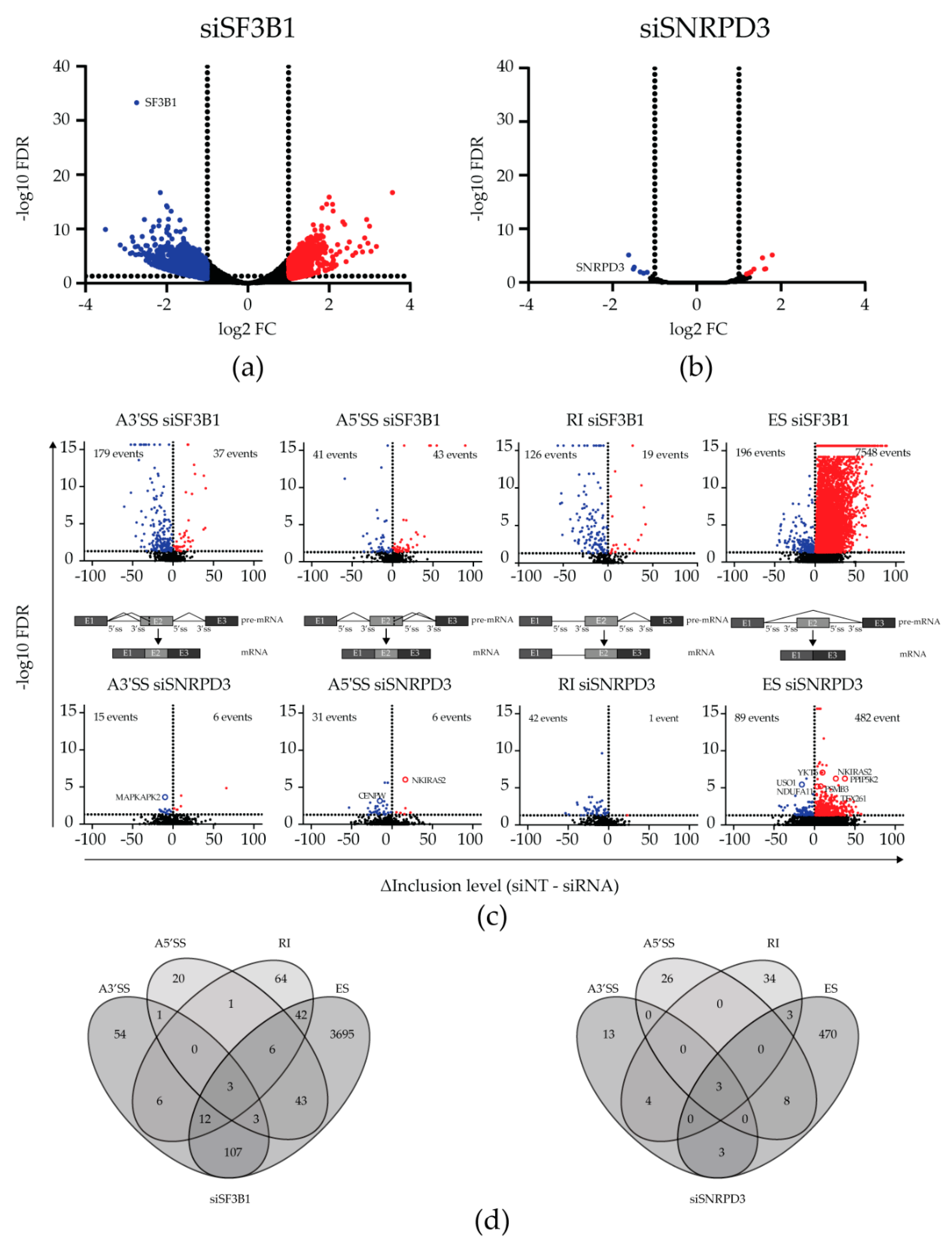 Ijms 21 04192 g001 Ijms 21 04192 g001