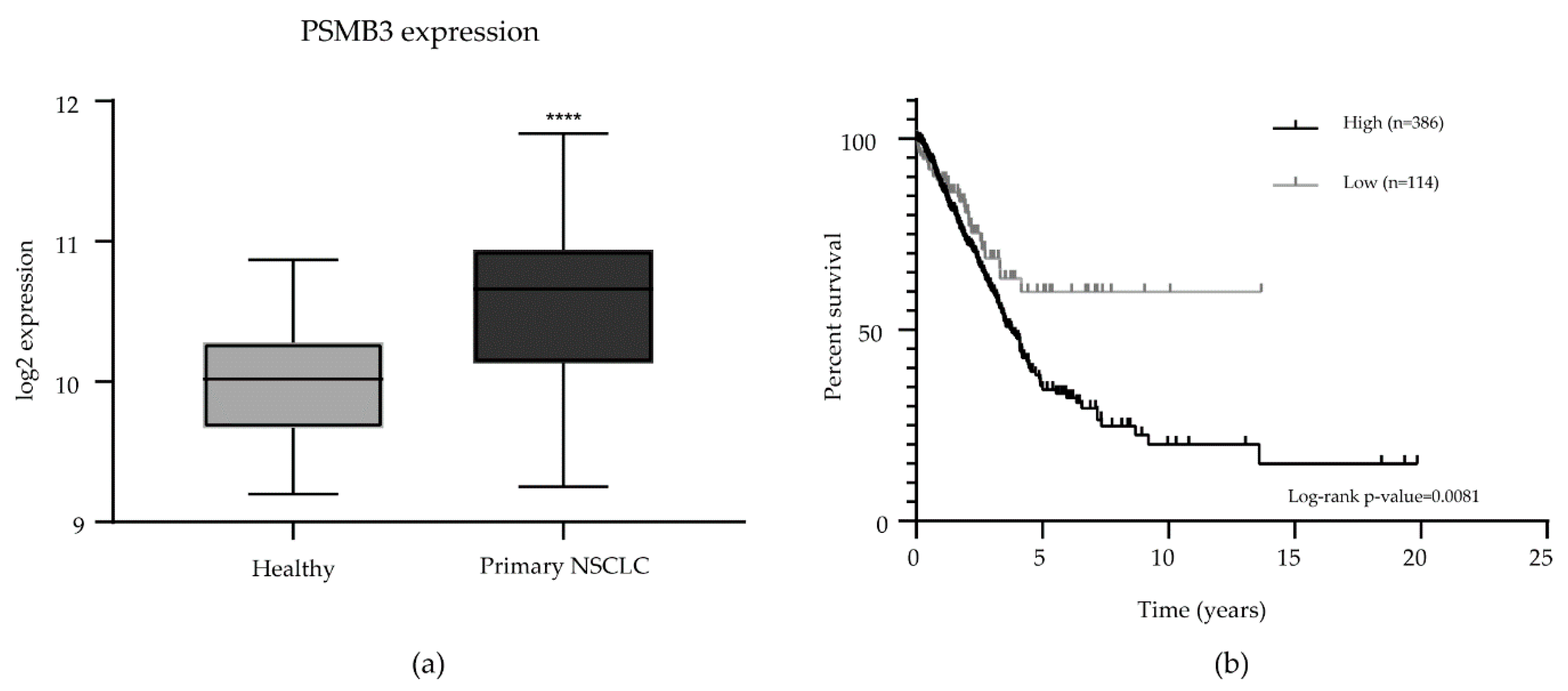 Ijms 21 04192 g004 Ijms 21 04192 g004