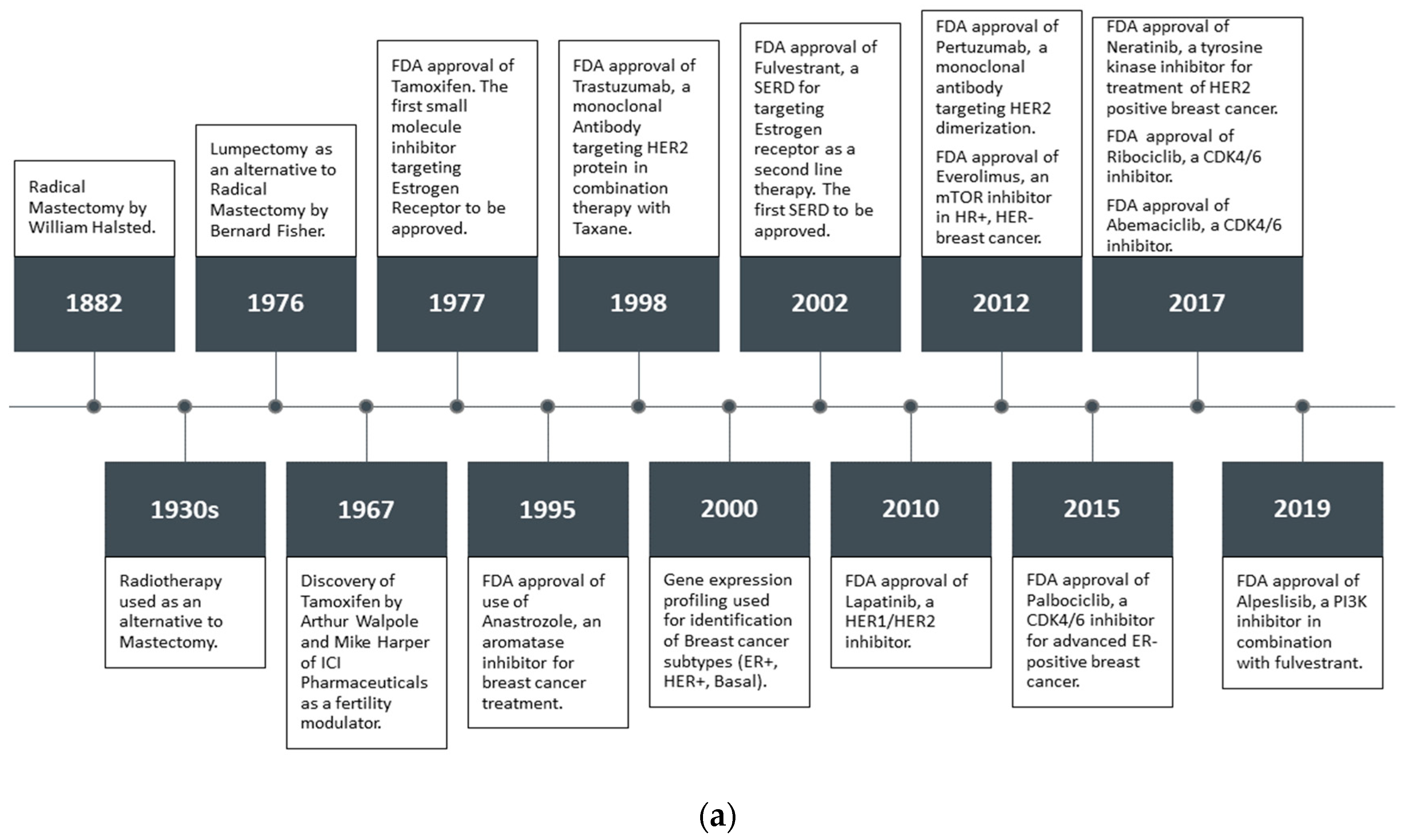 Ijms 21 04193 g001a Ijms 21 04193 g001a