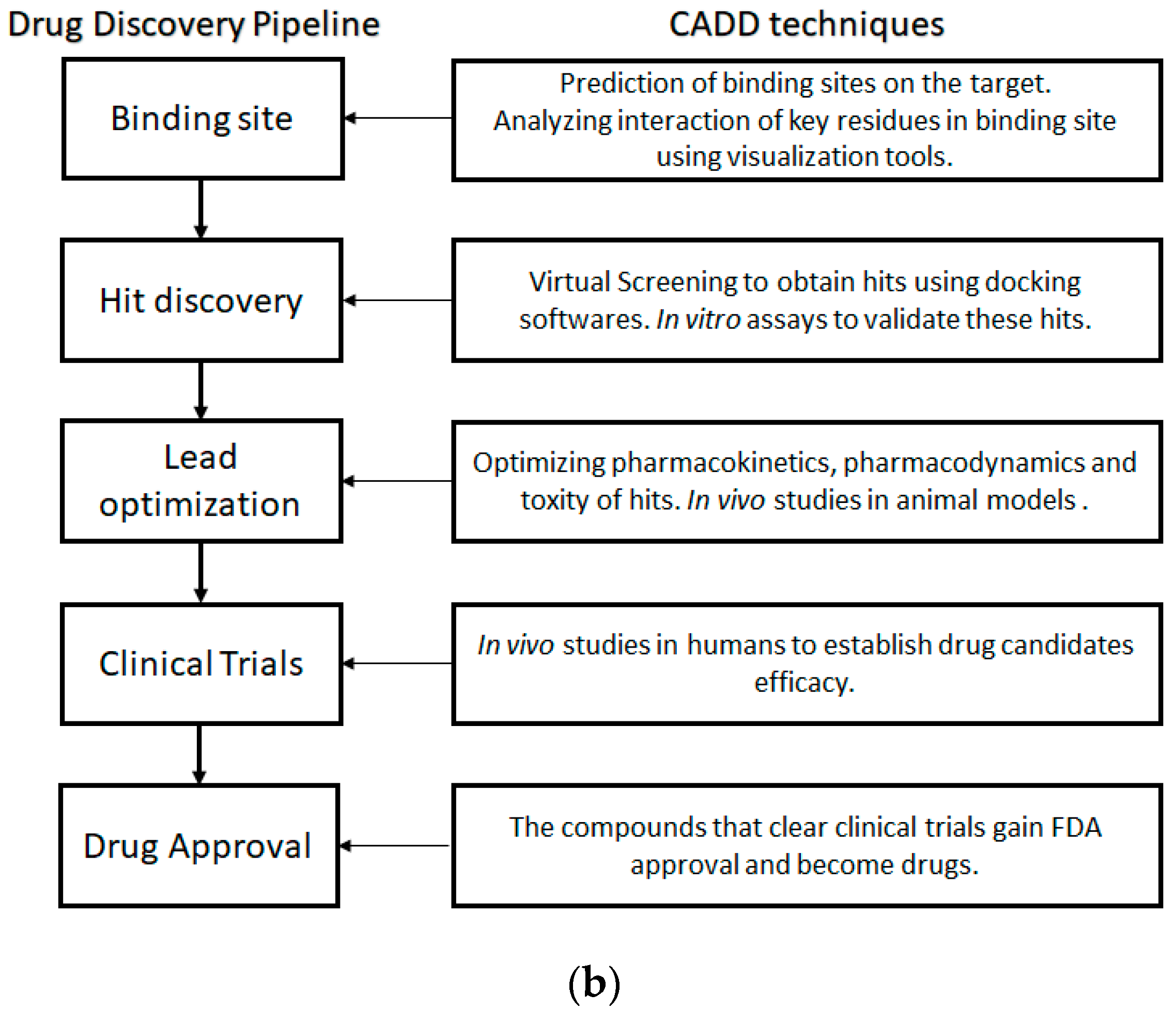 Ijms 21 04193 g001b Ijms 21 04193 g001b