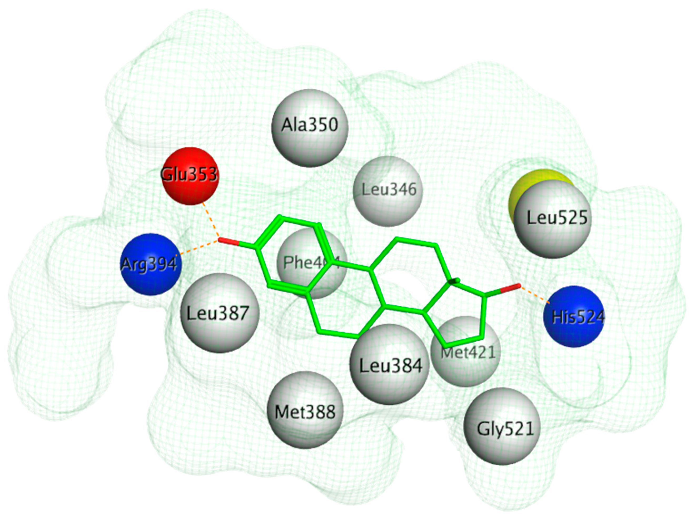 Ijms 21 04193 g003 Ijms 21 04193 g003