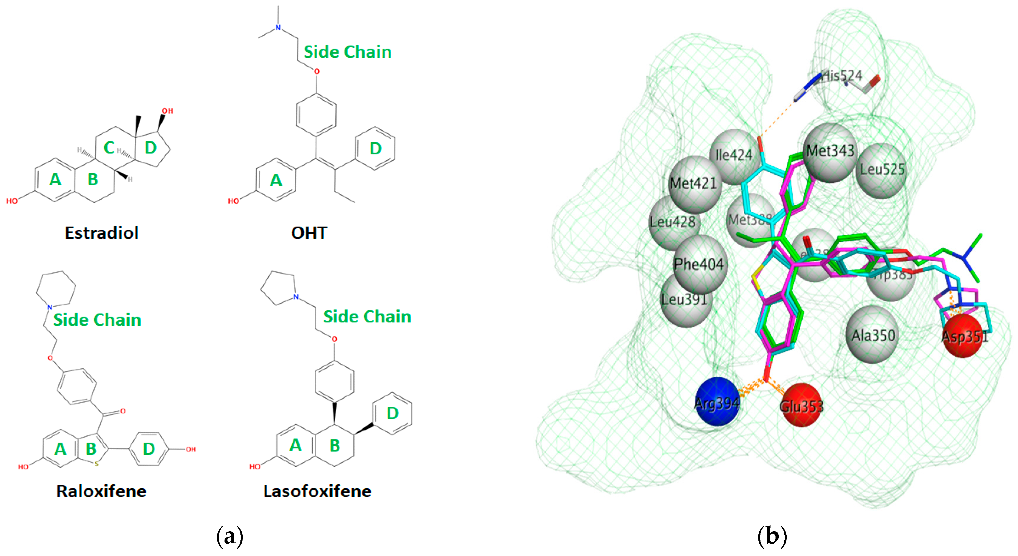 Ijms 21 04193 g007 Ijms 21 04193 g007