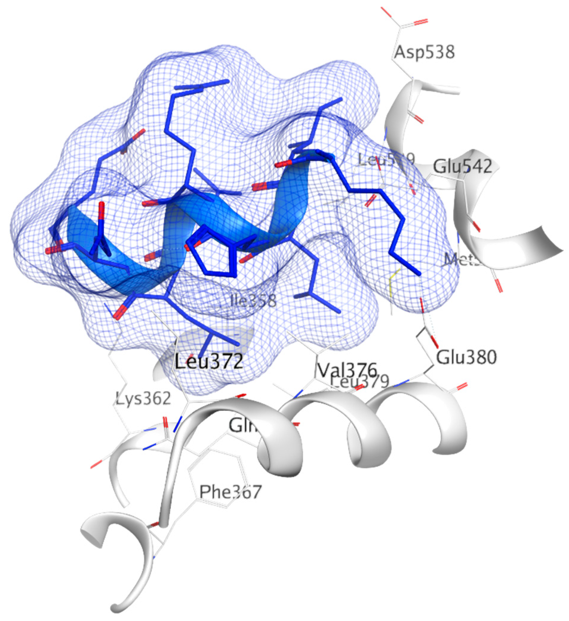 Ijms 21 04193 g014 Ijms 21 04193 g014