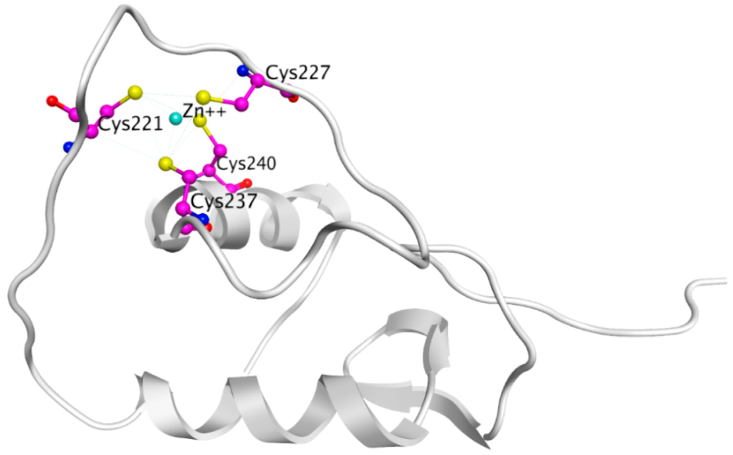 Ijms 21 04193 g015 Ijms 21 04193 g015