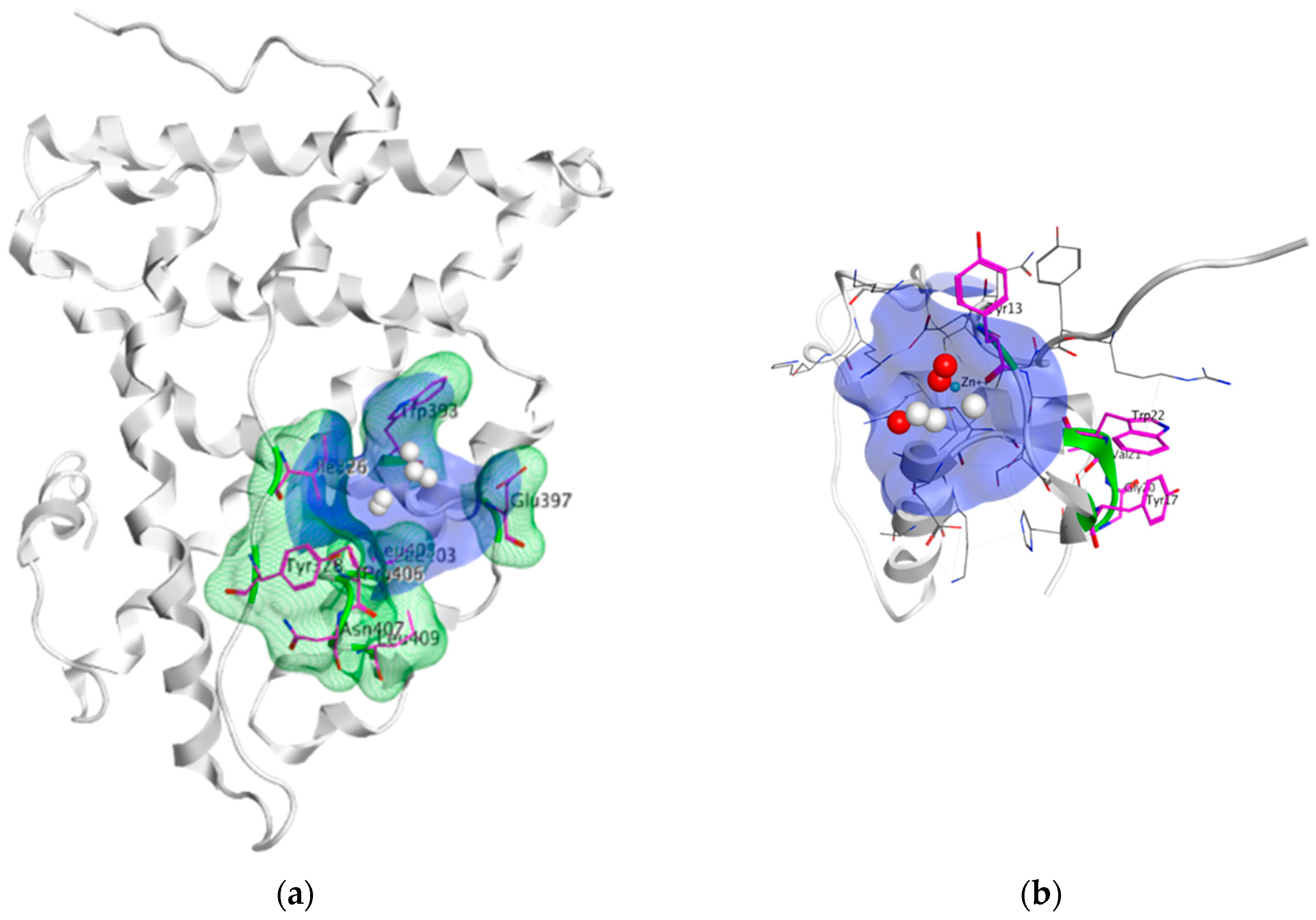 Ijms 21 04193 g017 Ijms 21 04193 g017