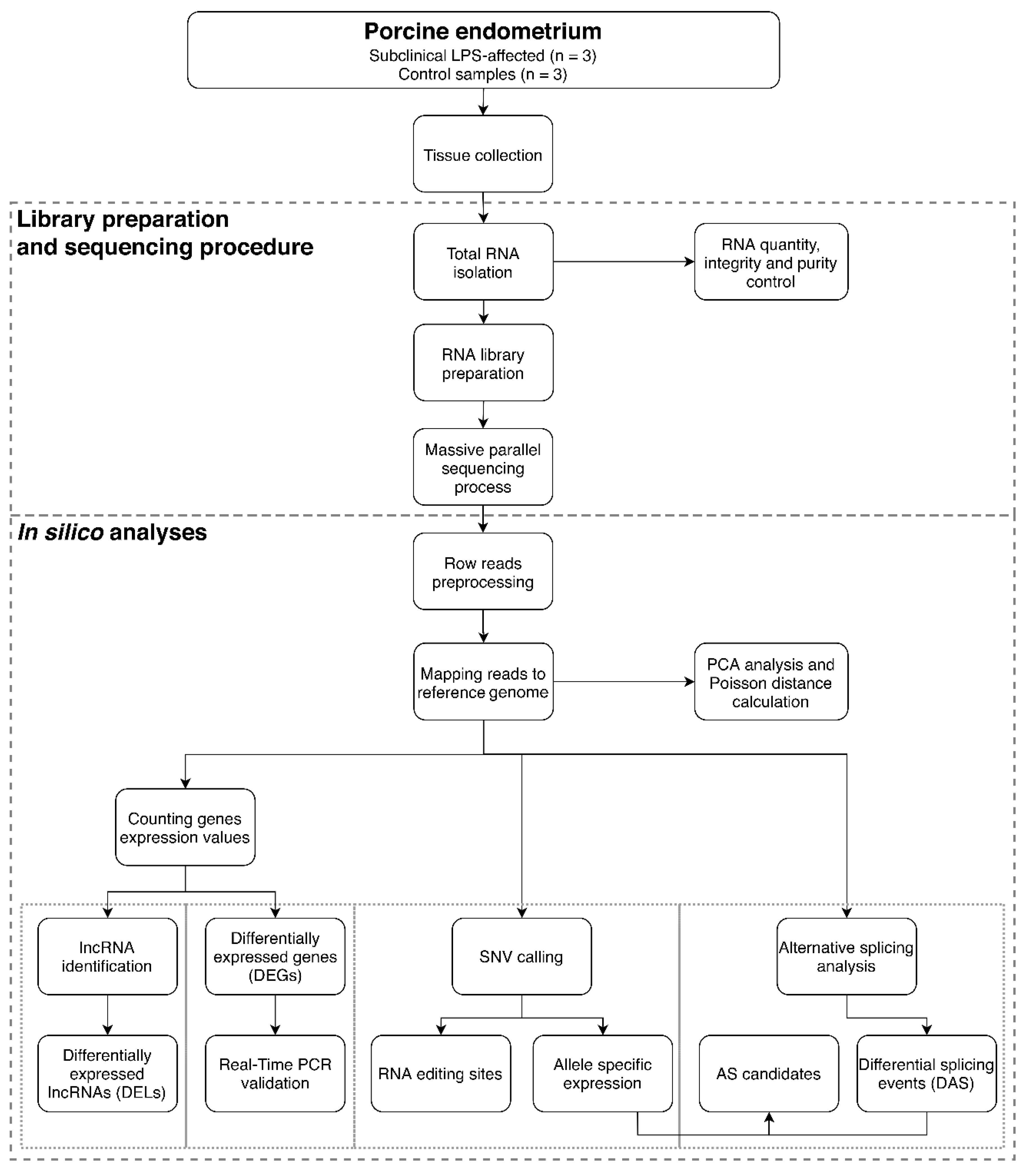 Ijms 21 04217 g001 Ijms 21 04217 g001