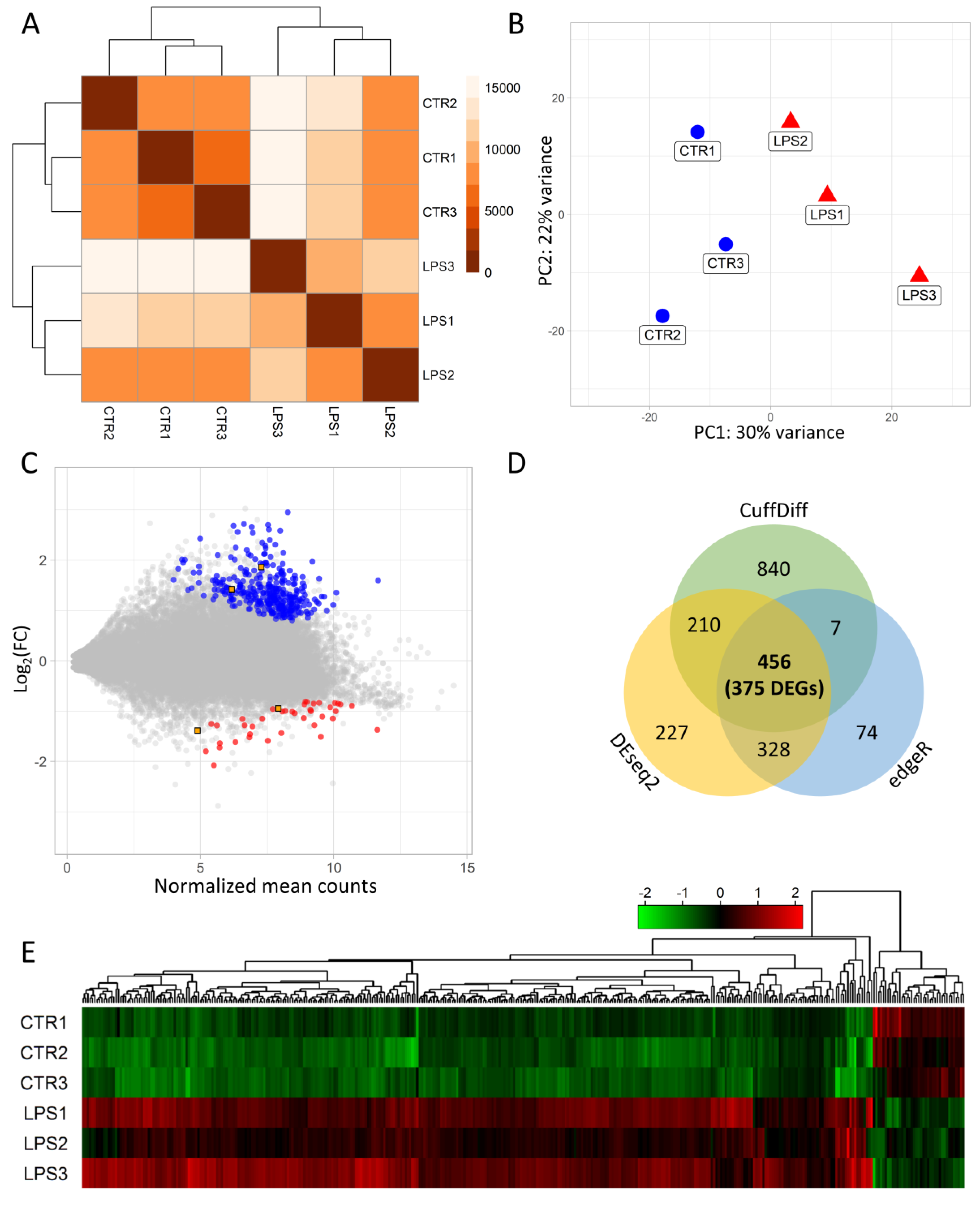 Ijms 21 04217 g002 Ijms 21 04217 g002