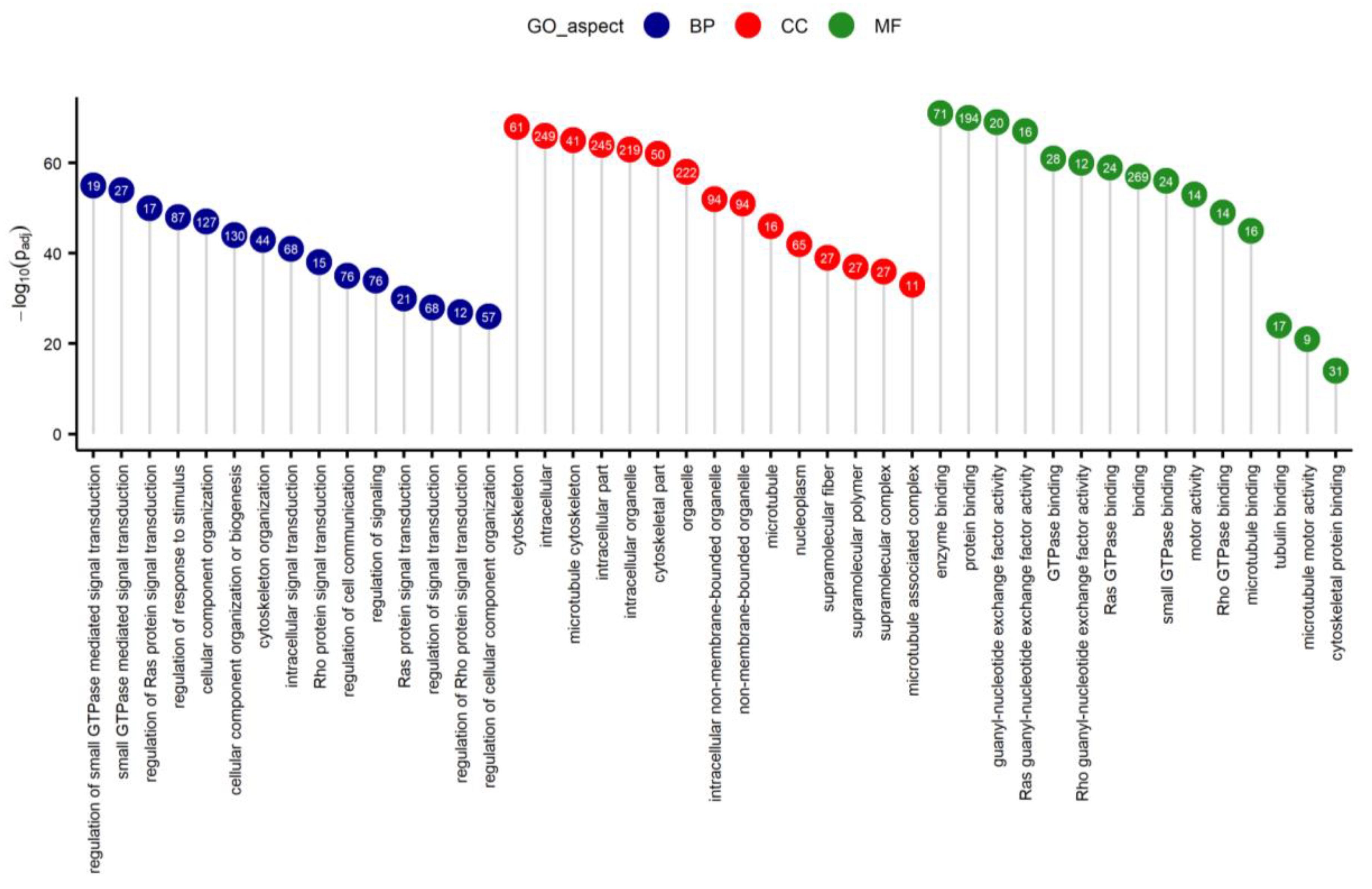Ijms 21 04217 g003 Ijms 21 04217 g003