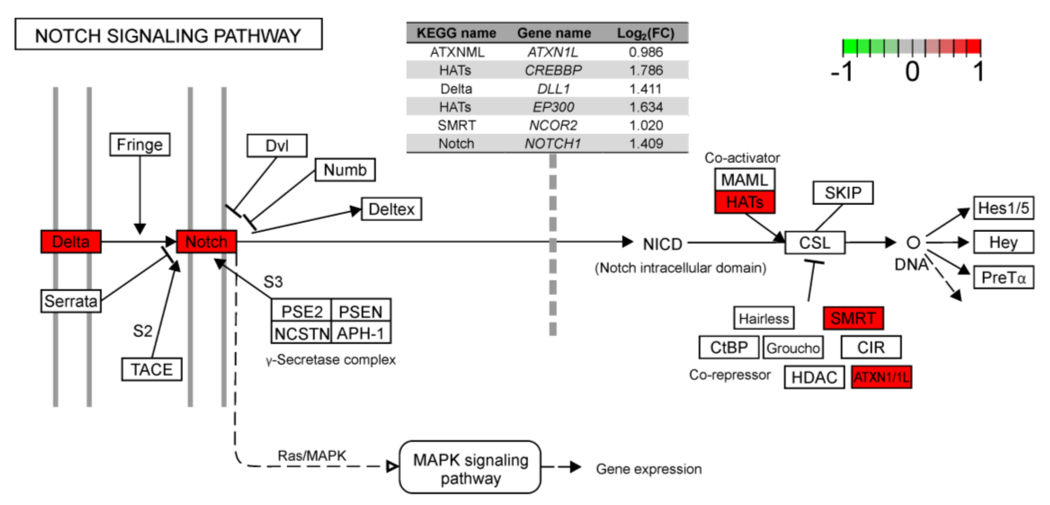 Ijms 21 04217 g004 Ijms 21 04217 g004