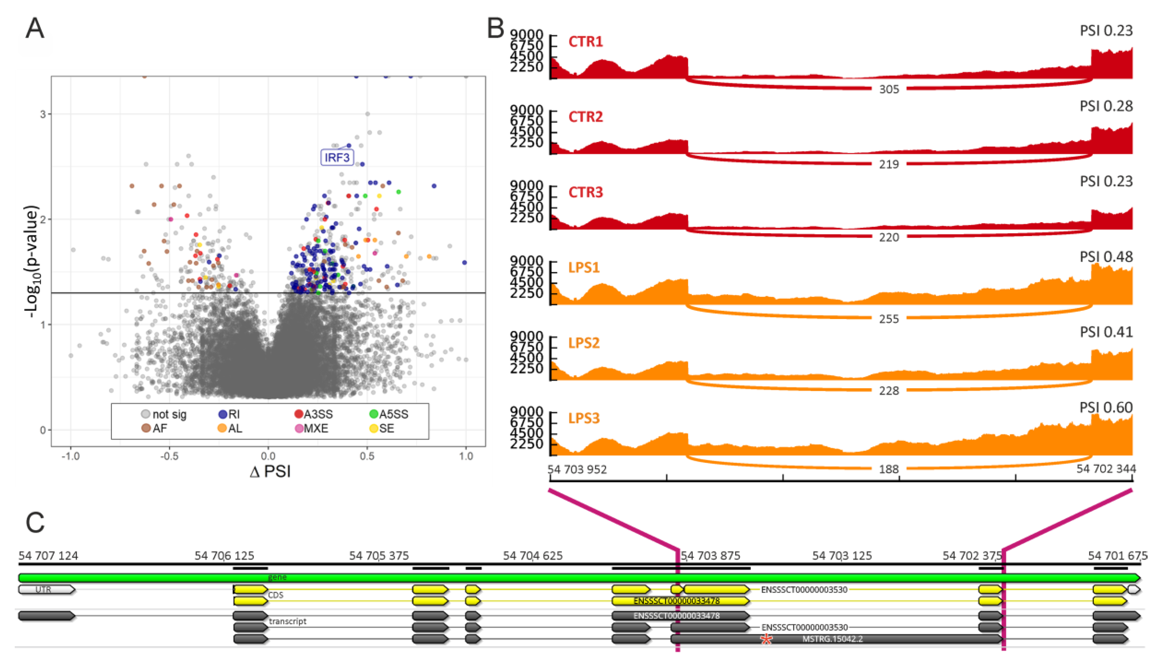 Ijms 21 04217 g005 Ijms 21 04217 g005