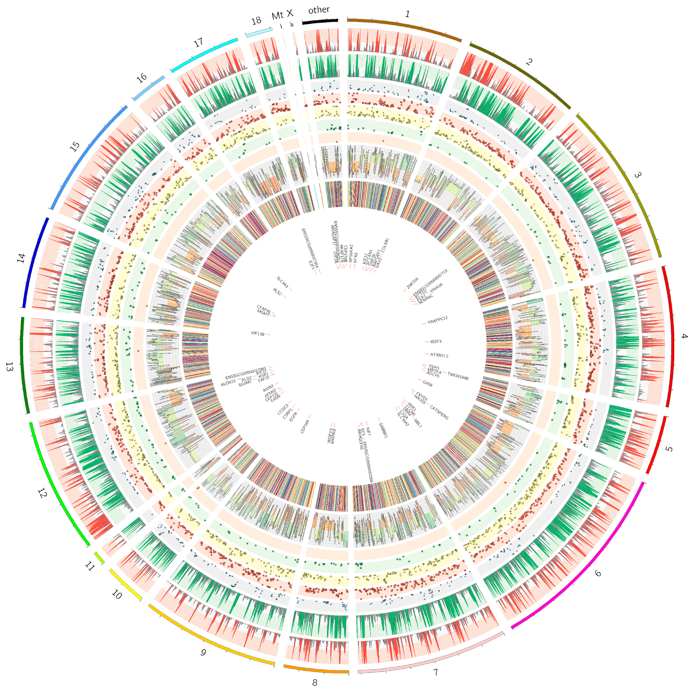 Ijms 21 04217 g006 Ijms 21 04217 g006