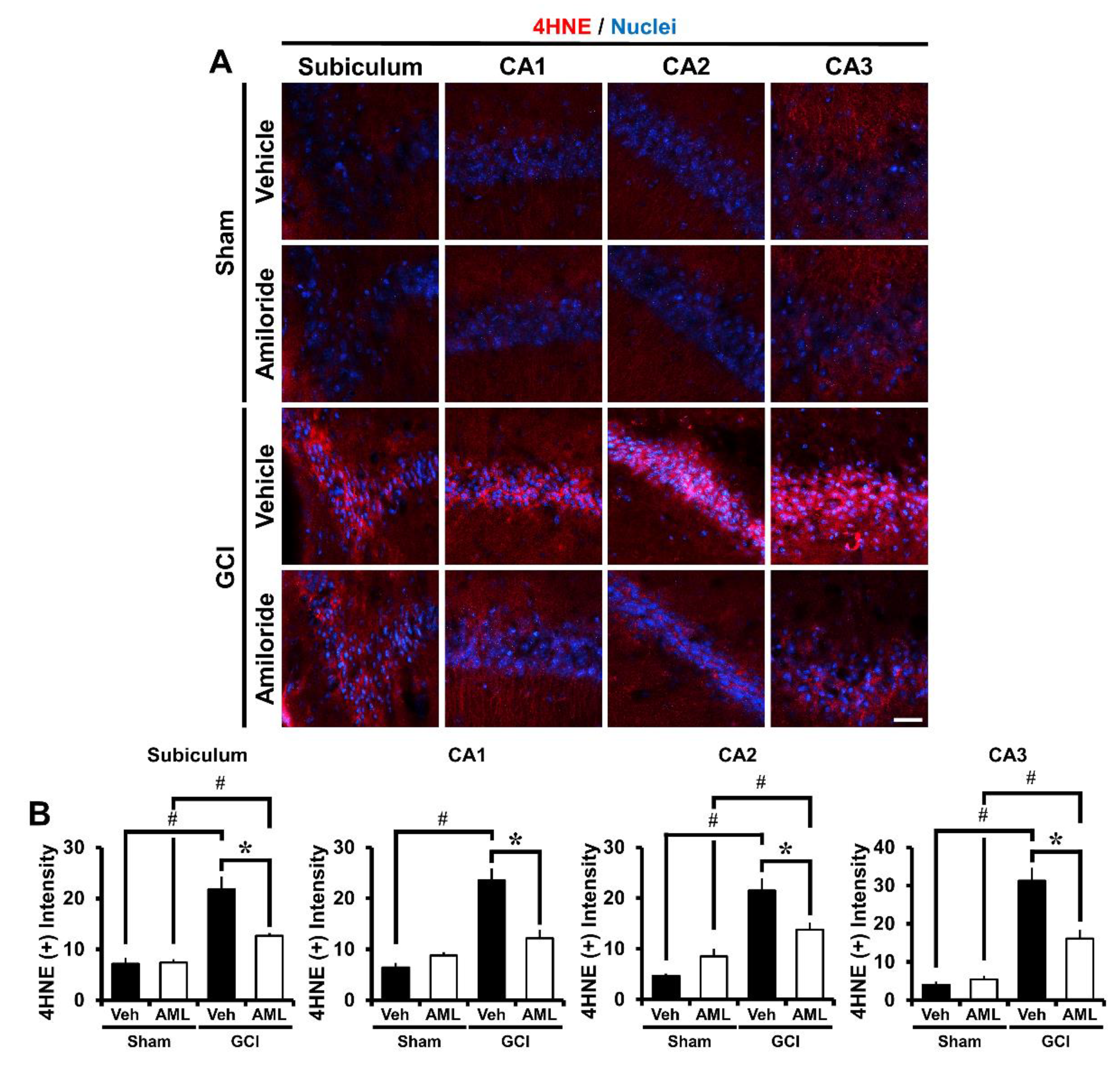 Ijms 21 04232 g003 Ijms 21 04232 g003
