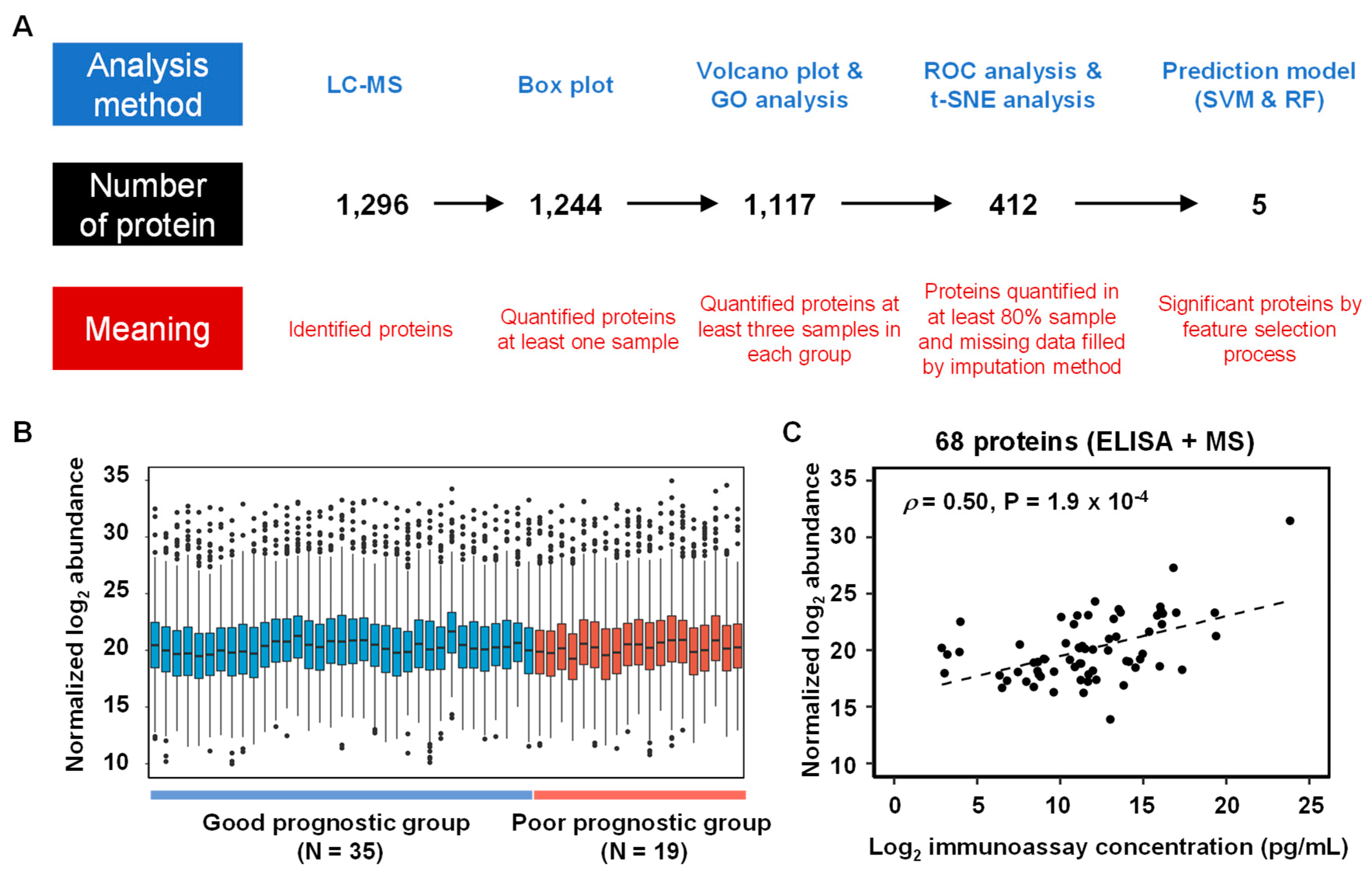 Ijms 21 04236 g001 Ijms 21 04236 g001