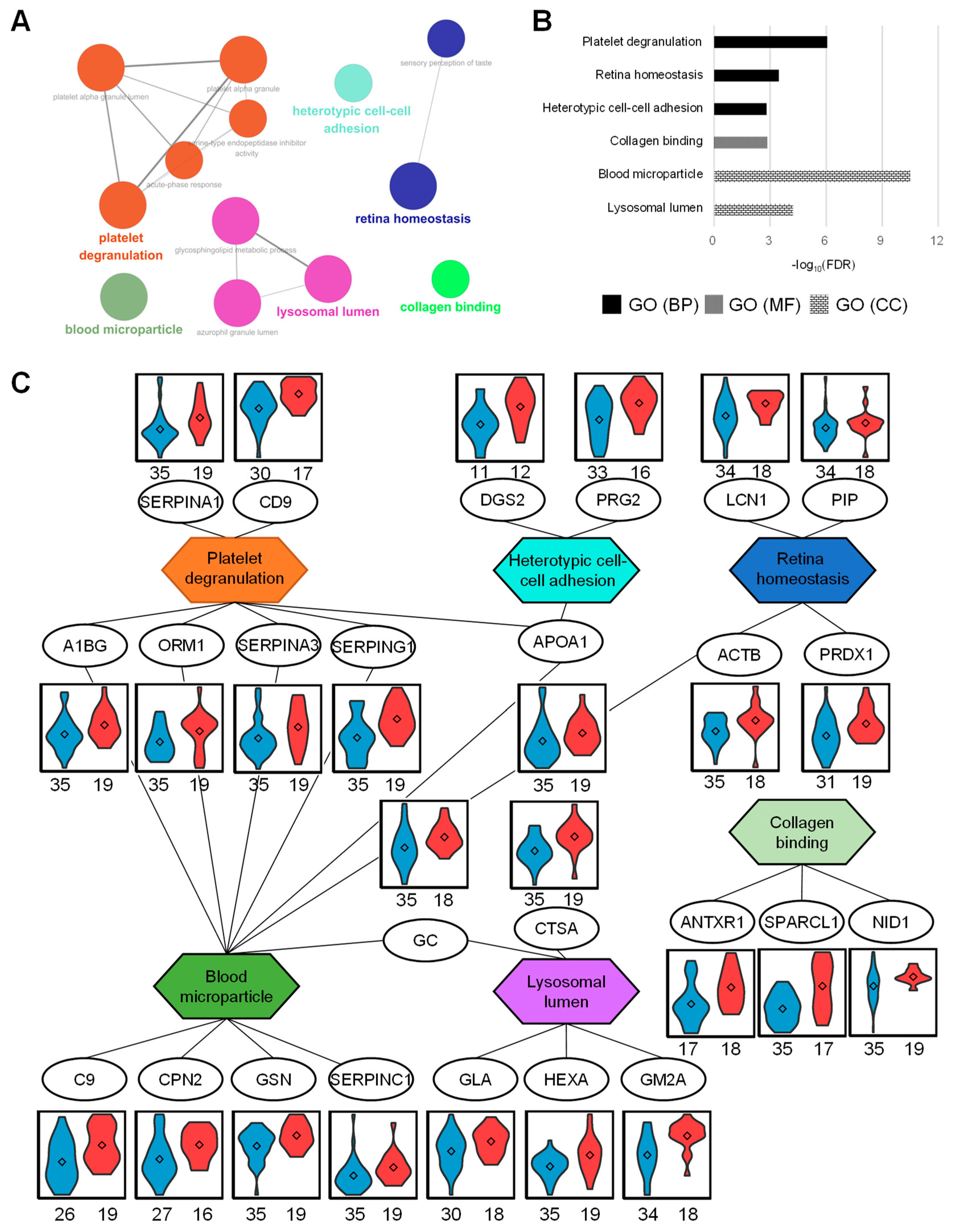 Ijms 21 04236 g004 Ijms 21 04236 g004