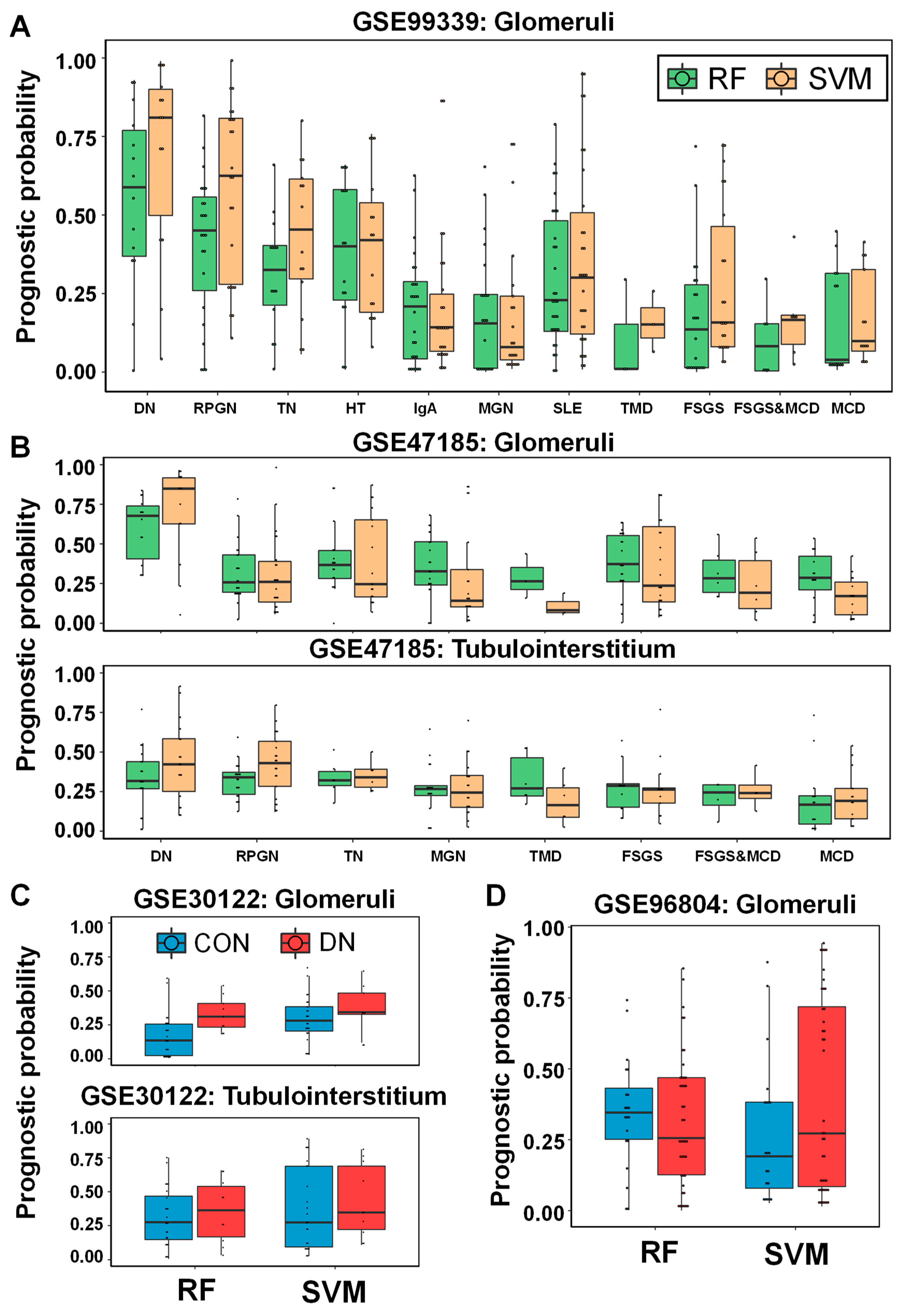 Ijms 21 04236 g007 Ijms 21 04236 g007