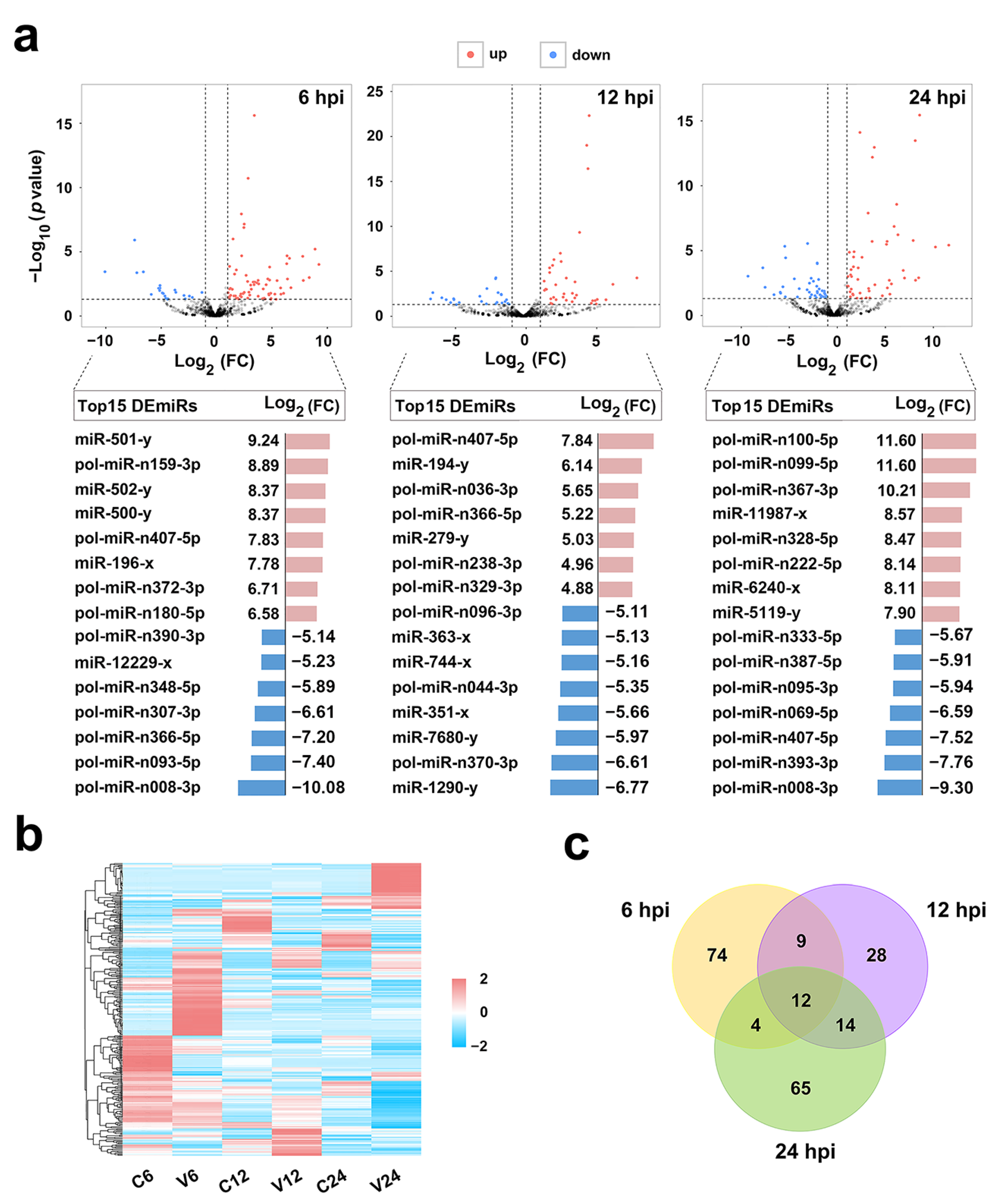 Ijms 21 04252 g002 Ijms 21 04252 g002