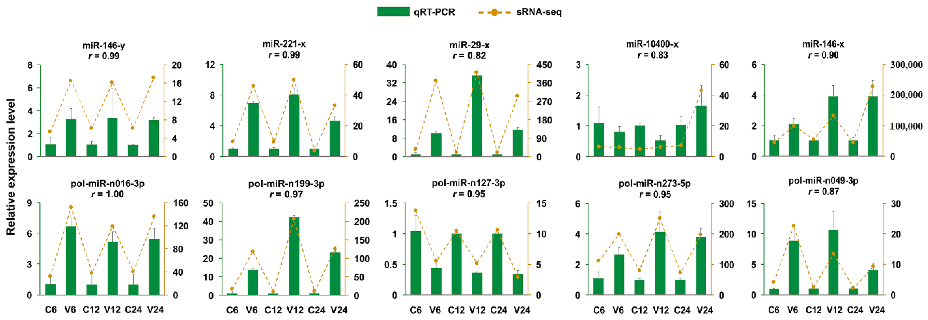 Ijms 21 04252 g003 Ijms 21 04252 g003