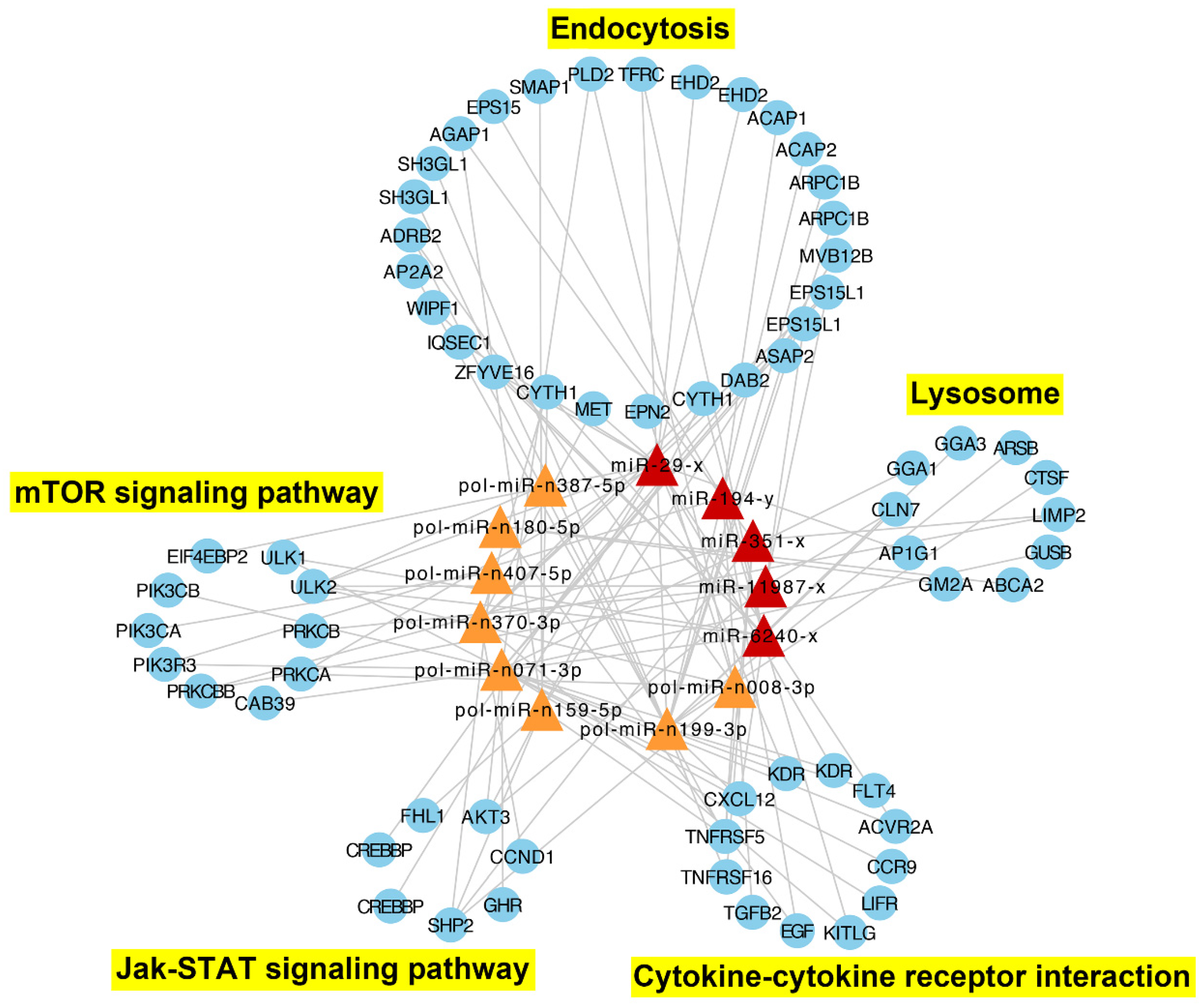 Ijms 21 04252 g005 Ijms 21 04252 g005