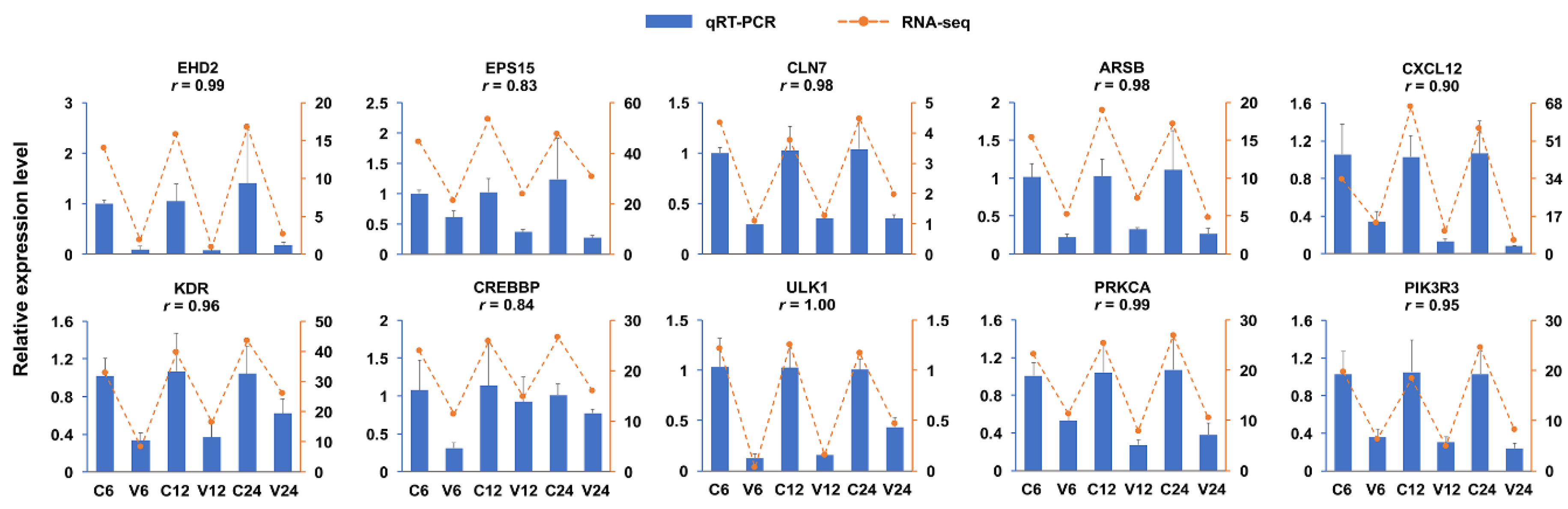 Ijms 21 04252 g006 Ijms 21 04252 g006