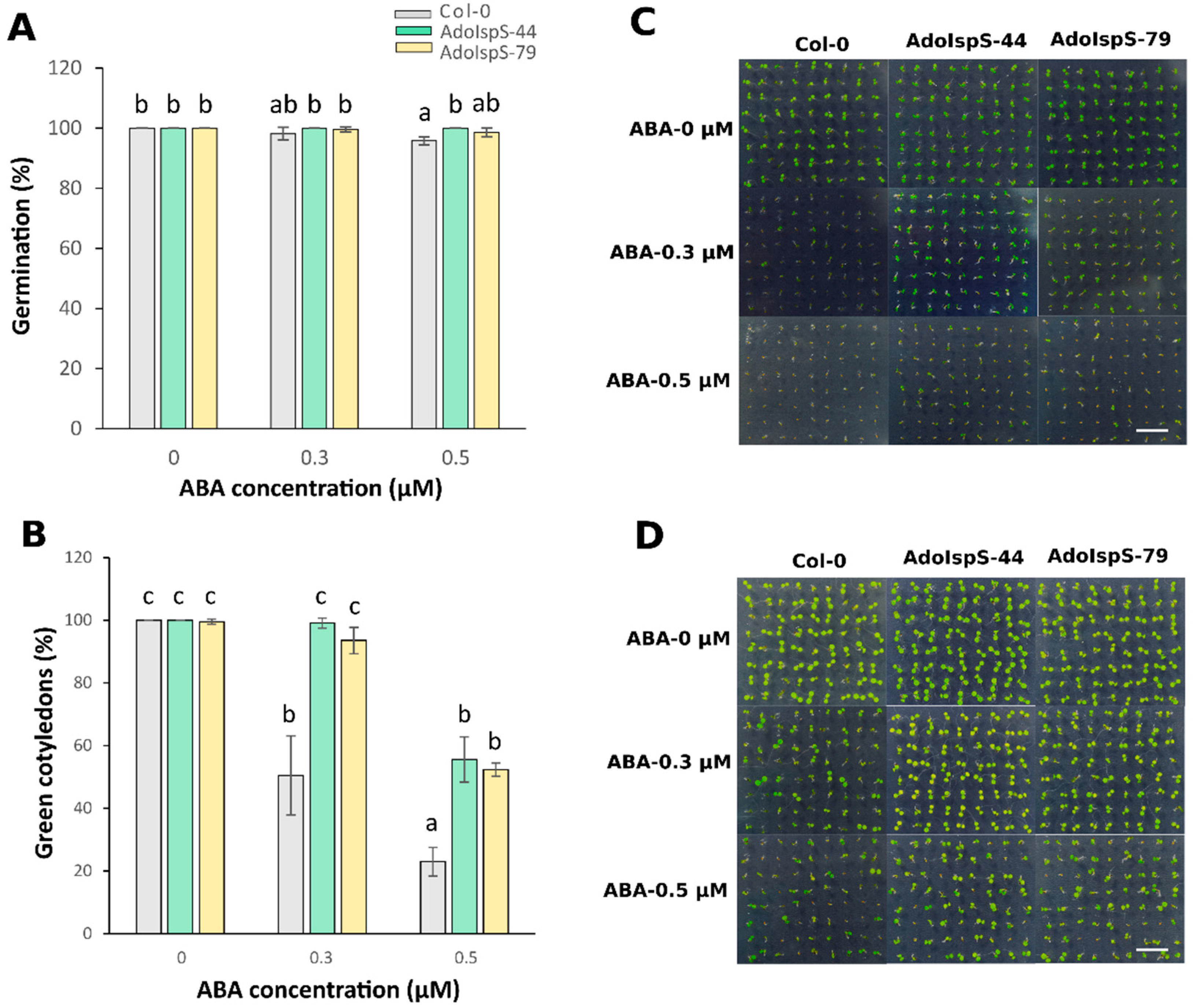 Ijms 21 04276 g001 Ijms 21 04276 g001