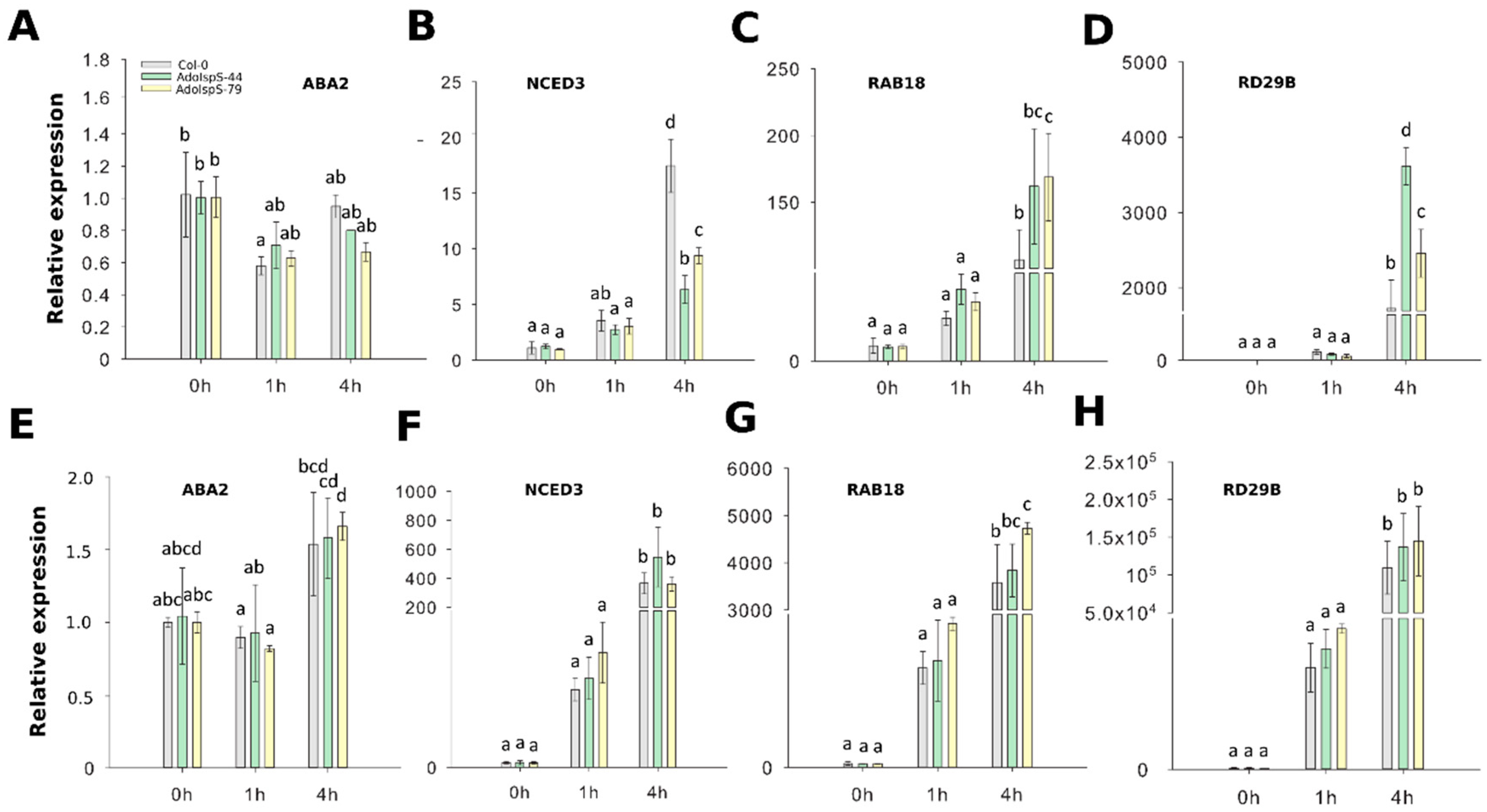 Ijms 21 04276 g003 Ijms 21 04276 g003