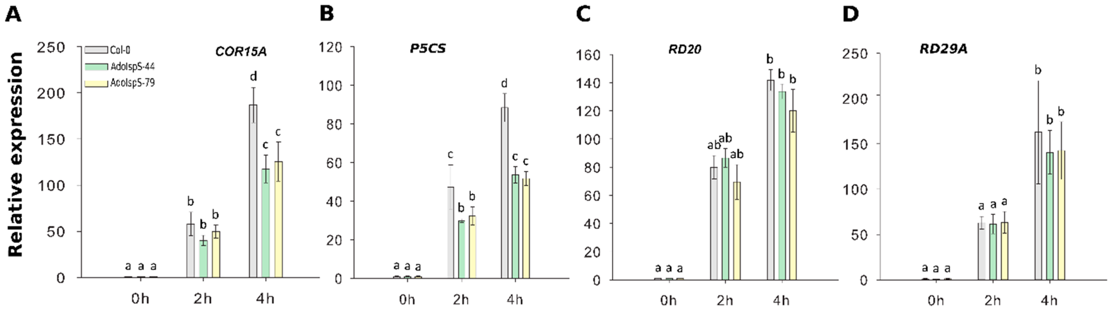 Ijms 21 04276 g007 Ijms 21 04276 g007