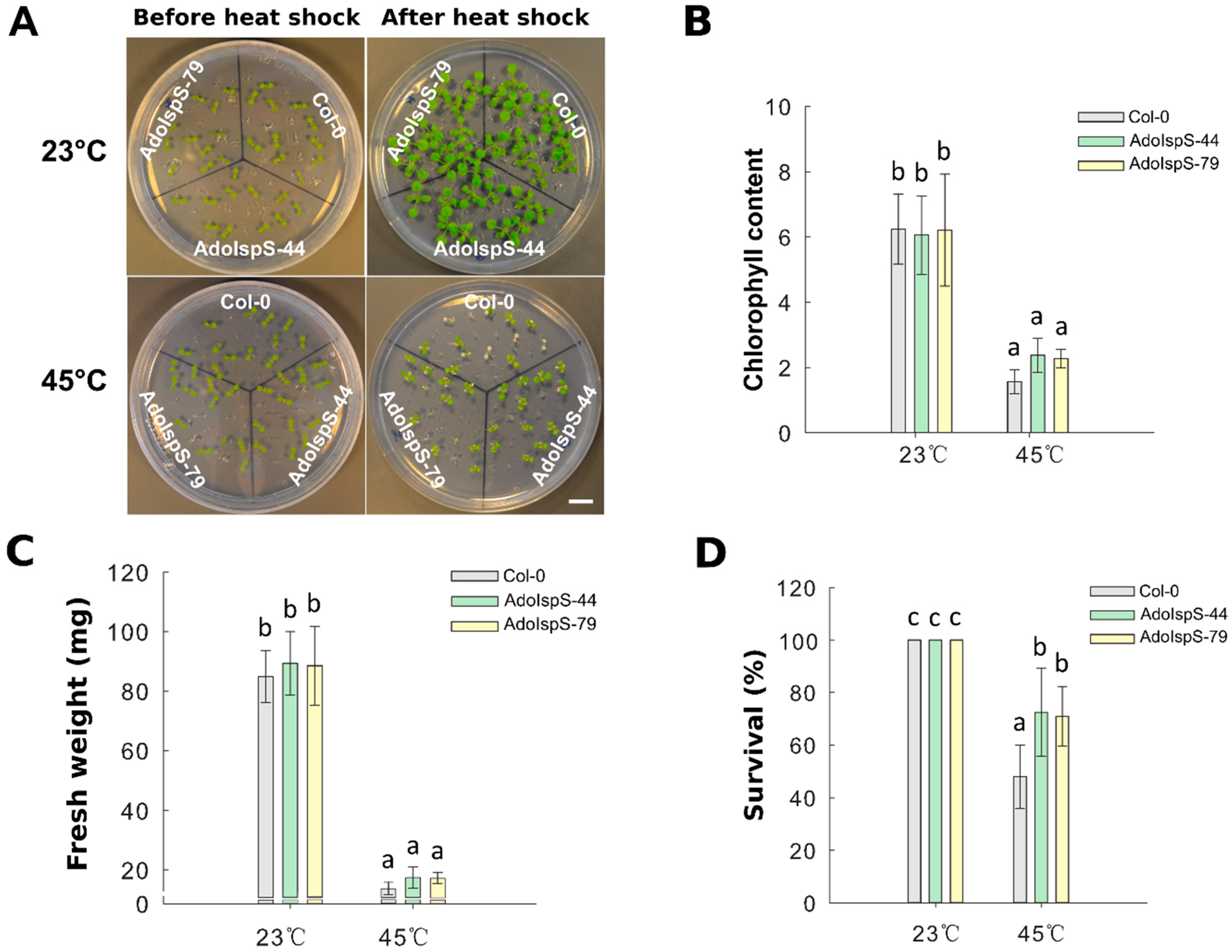 Ijms 21 04276 g008 Ijms 21 04276 g008