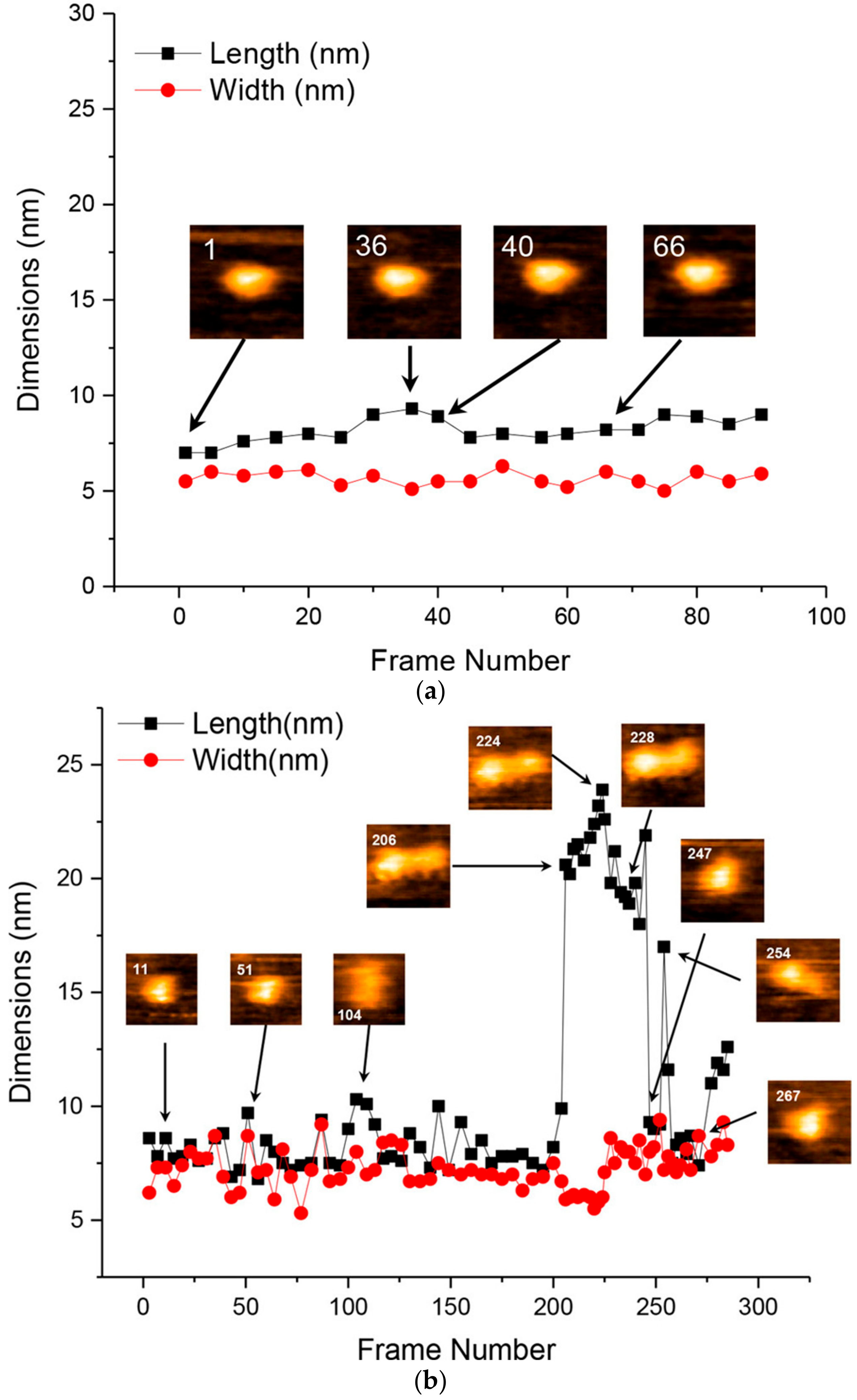 Ijms 21 04287 g008a Ijms 21 04287 g008a