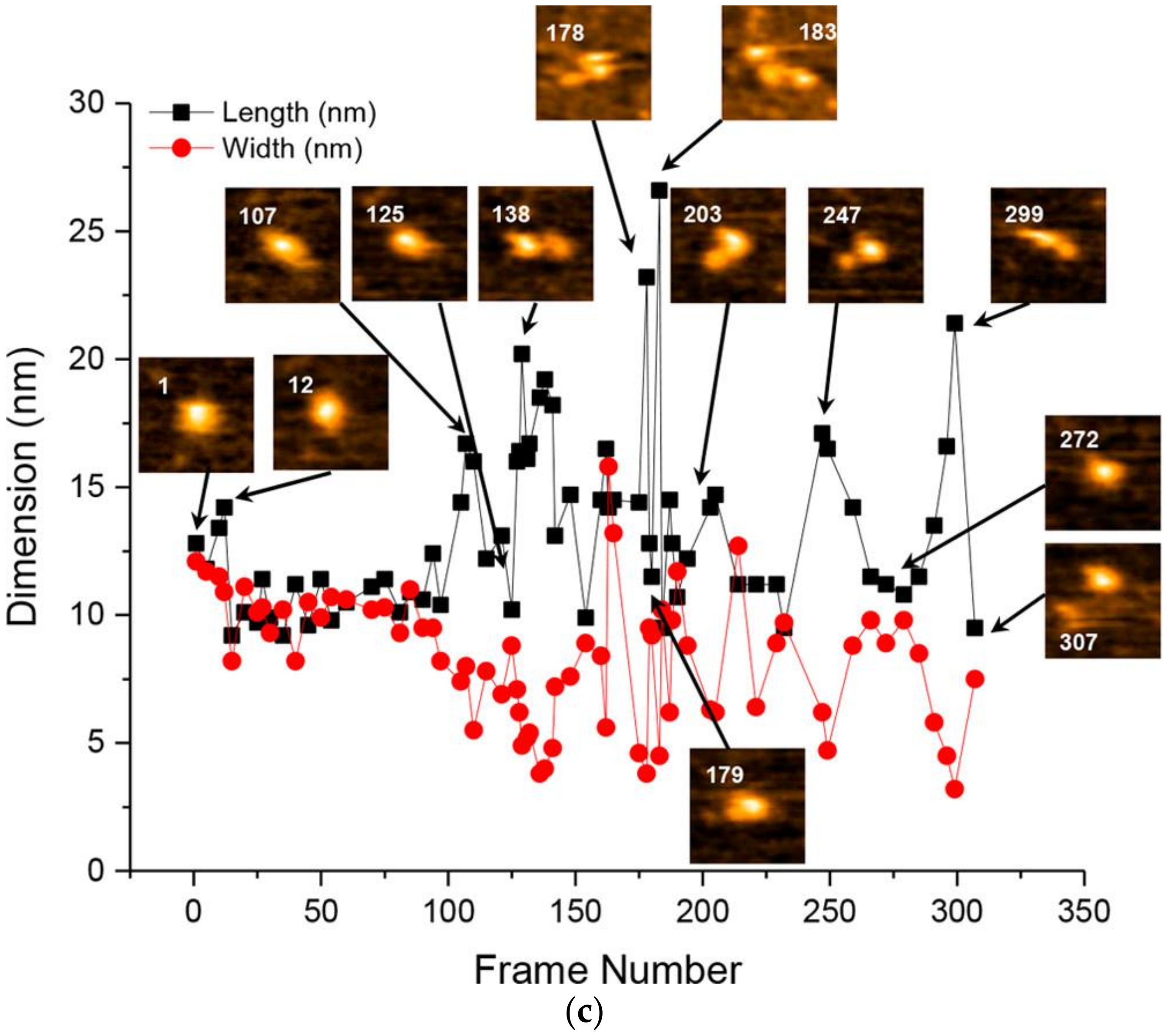 Ijms 21 04287 g008b Ijms 21 04287 g008b