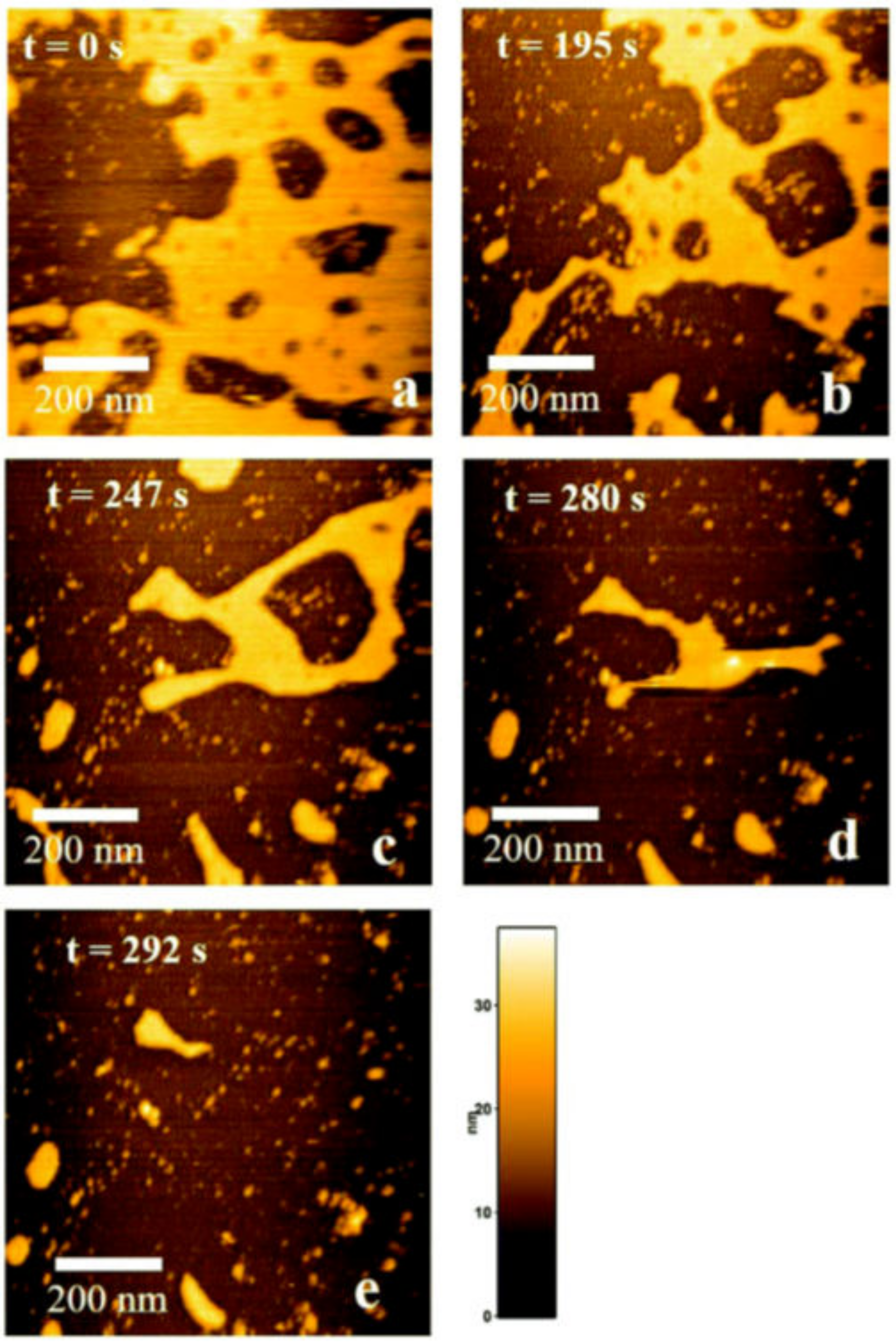 Ijms 21 04287 g010 Ijms 21 04287 g010