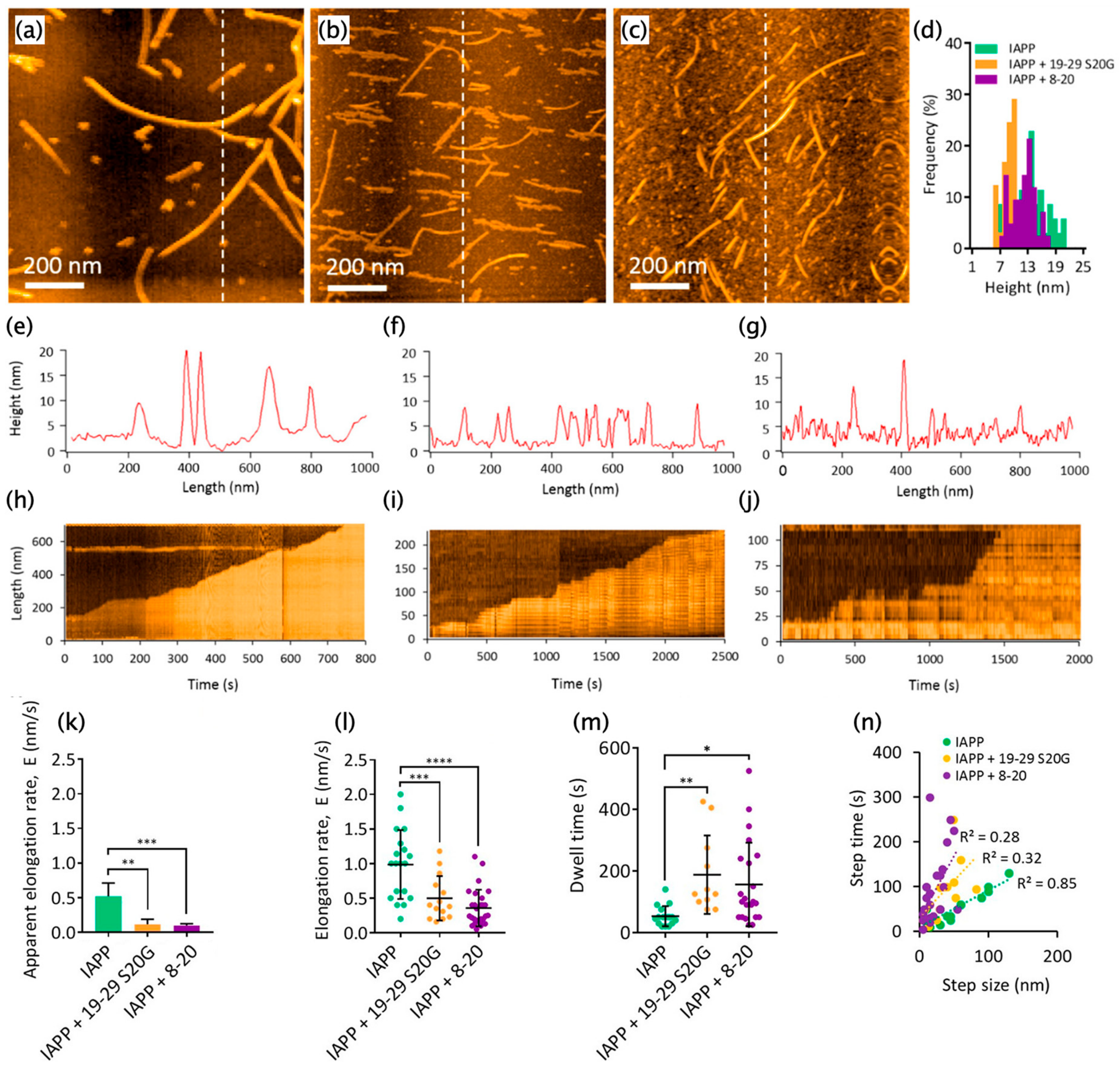 Ijms 21 04287 g013 Ijms 21 04287 g013